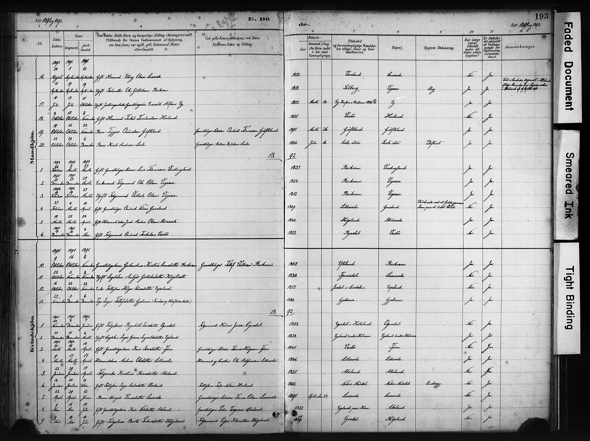 Helleland sokneprestkontor, AV/SAST-A-101810: Parish register (official) no. A 9, 1887-1908, p. 193