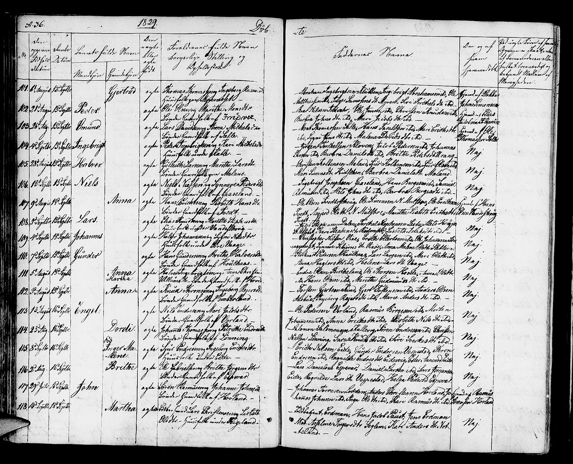 Finnås sokneprestembete, SAB/A-99925/H/Ha/Haa/Haaa/L0005: Parish register (official) no. A 5, 1823-1835, p. 36