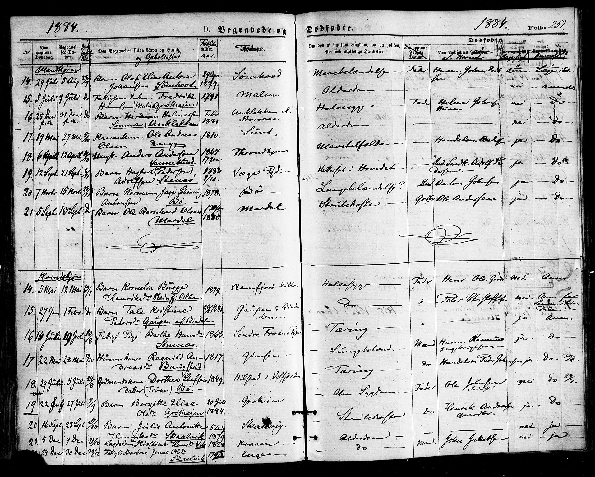 Ministerialprotokoller, klokkerbøker og fødselsregistre - Nordland, AV/SAT-A-1459/812/L0177: Parish register (official) no. 812A06, 1875-1885, p. 251