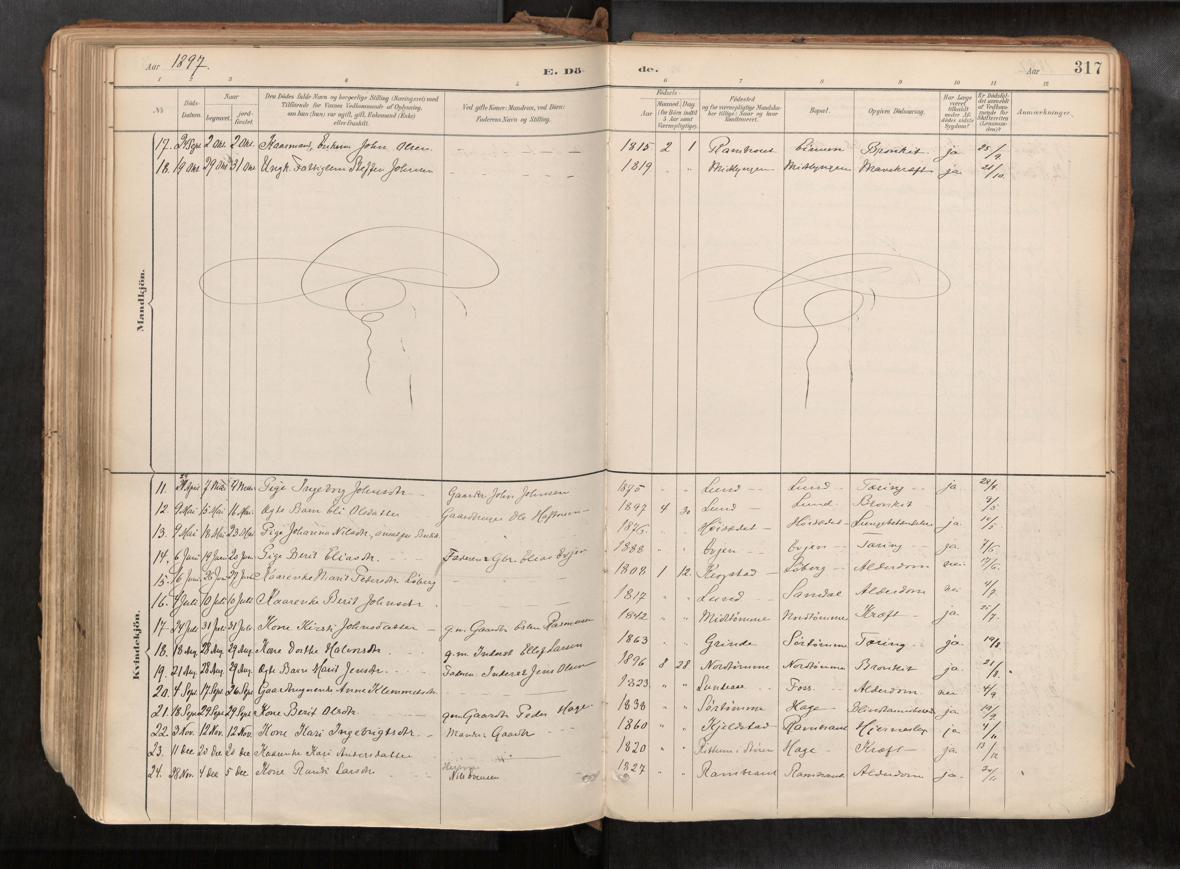 Ministerialprotokoller, klokkerbøker og fødselsregistre - Sør-Trøndelag, AV/SAT-A-1456/692/L1105b: Parish register (official) no. 692A06, 1891-1934, p. 317