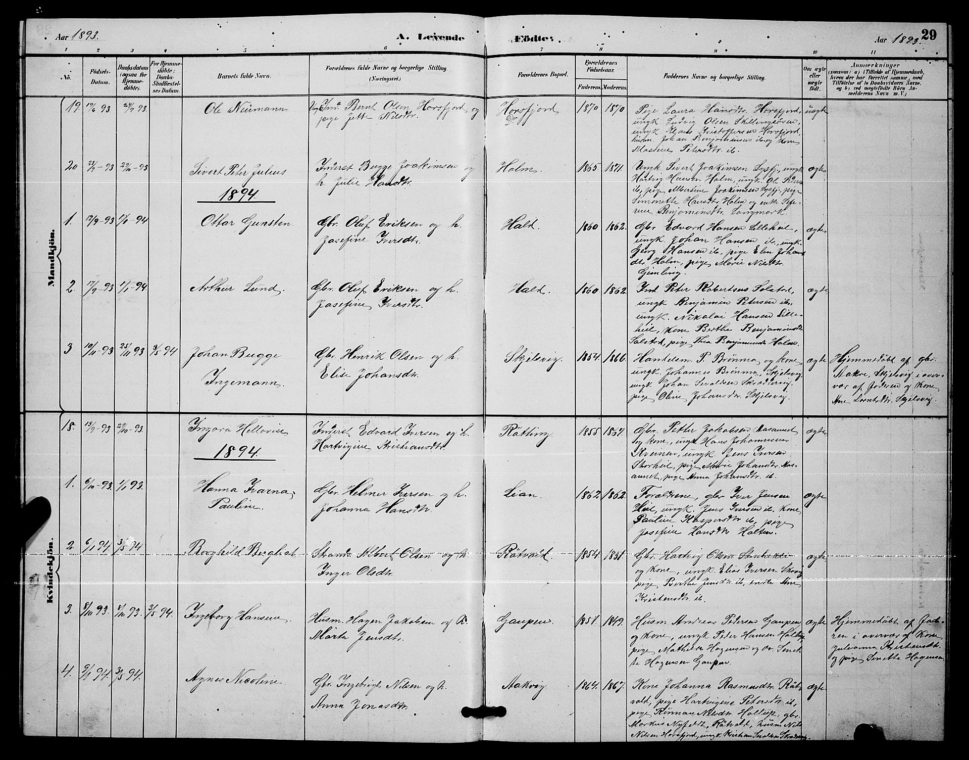 Ministerialprotokoller, klokkerbøker og fødselsregistre - Nordland, AV/SAT-A-1459/811/L0169: Parish register (copy) no. 811C01, 1884-1894, p. 29