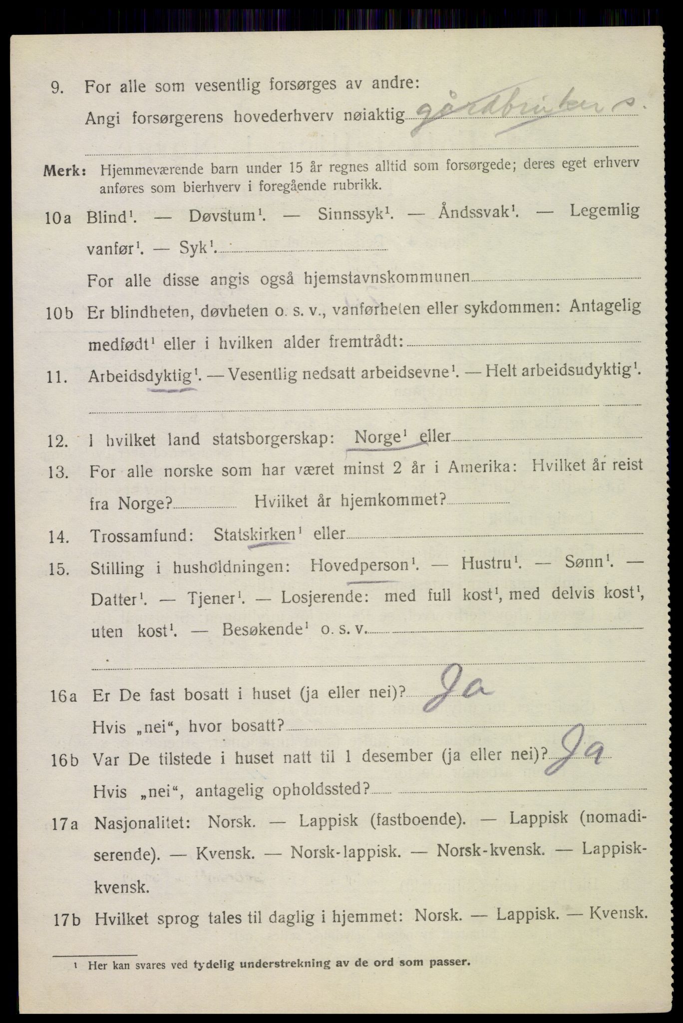 SAT, 1920 census for Bø, 1920, p. 8249