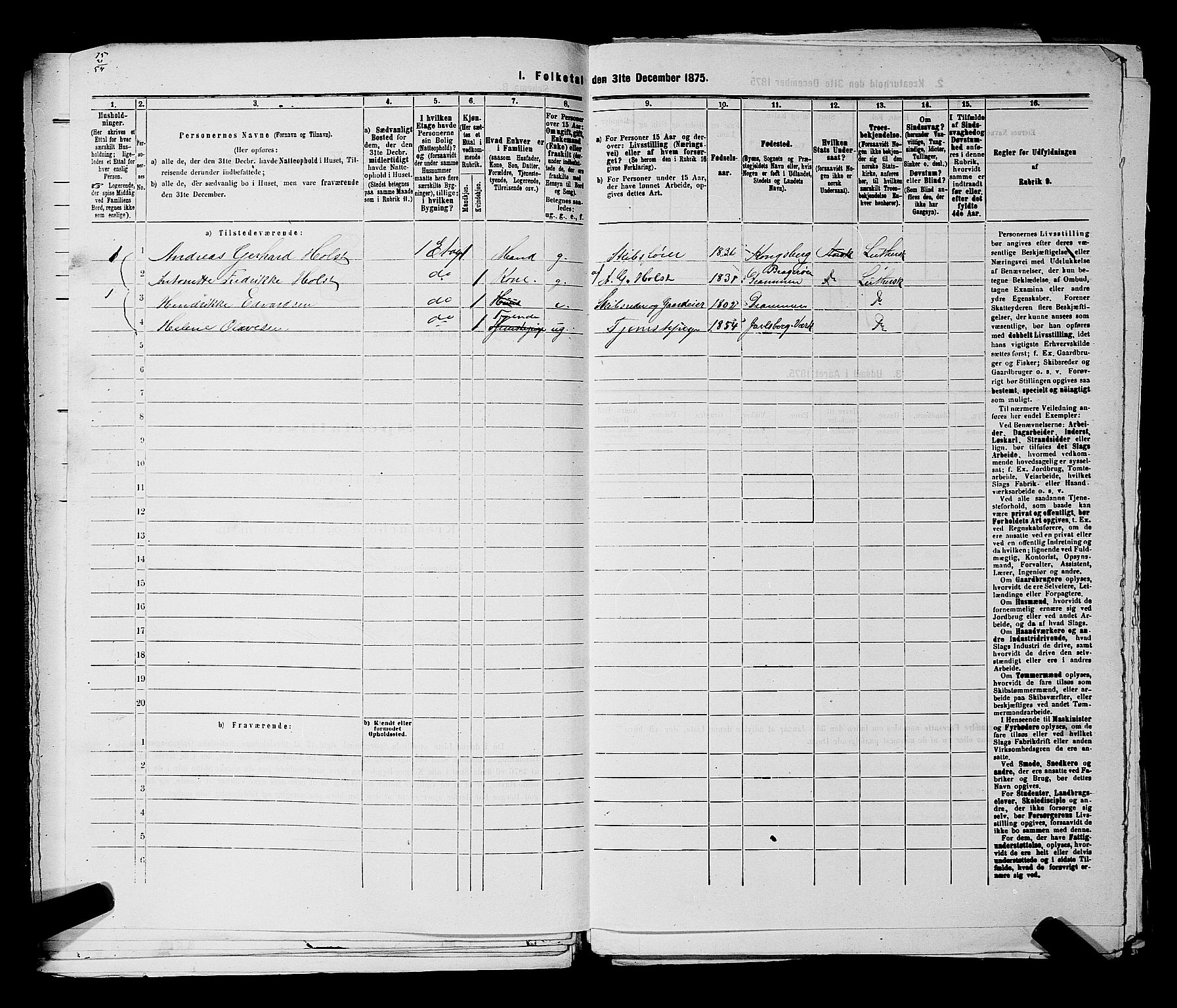 SAKO, 1875 census for 0602 Drammen, 1875, p. 2007