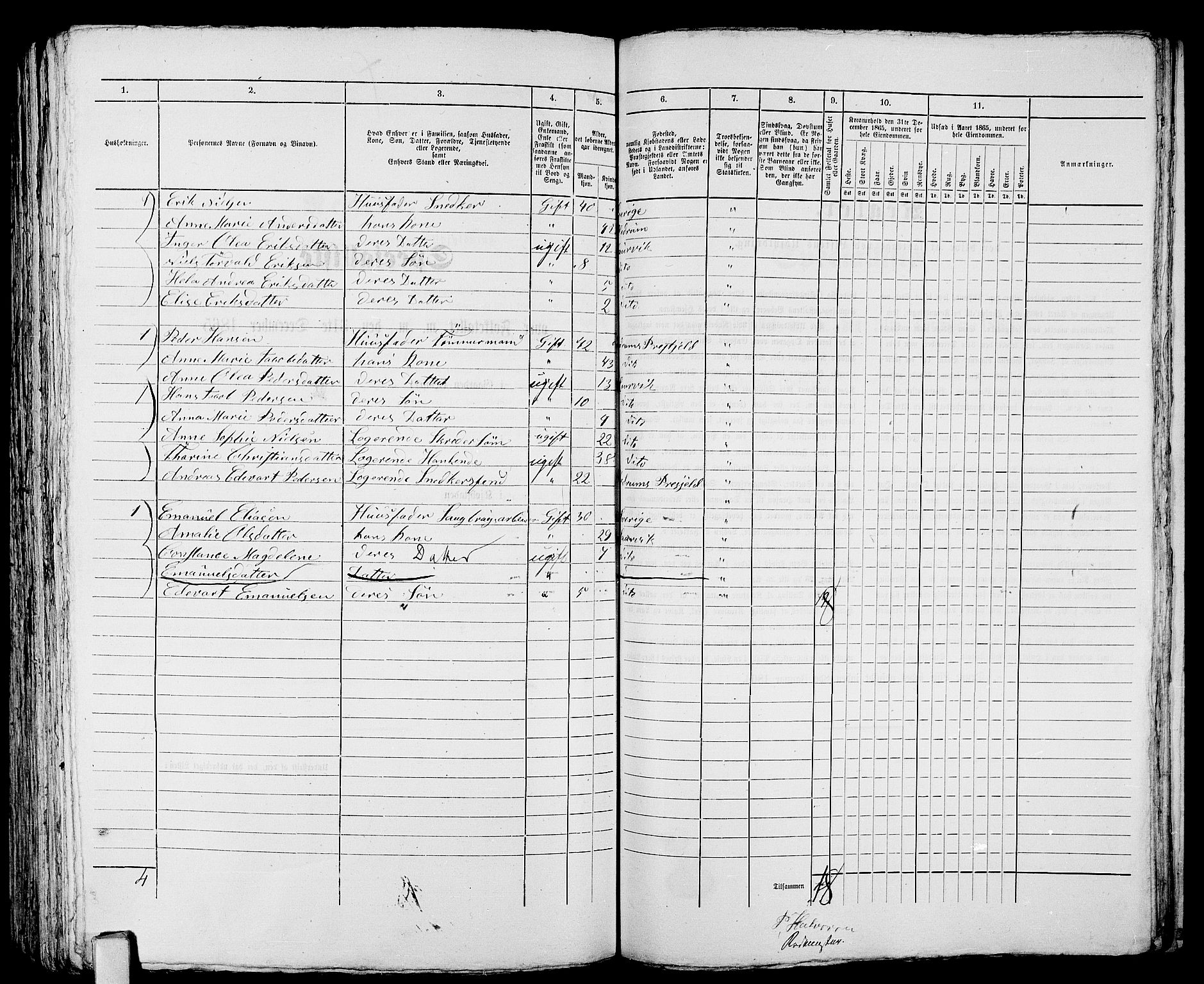 RA, 1865 census for Larvik, 1865, p. 585