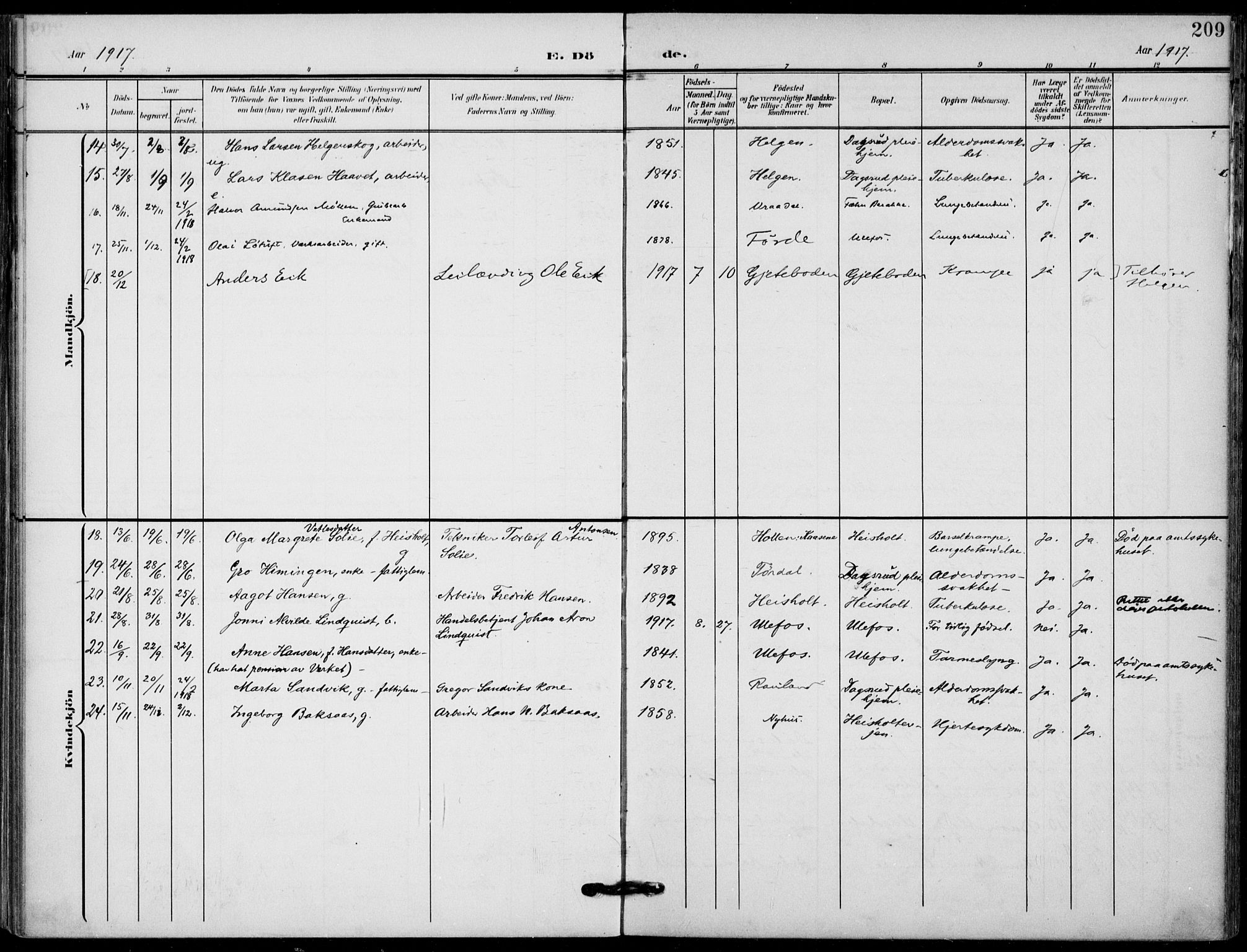 Holla kirkebøker, AV/SAKO-A-272/F/Fa/L0012: Parish register (official) no. 12, 1907-1923, p. 209