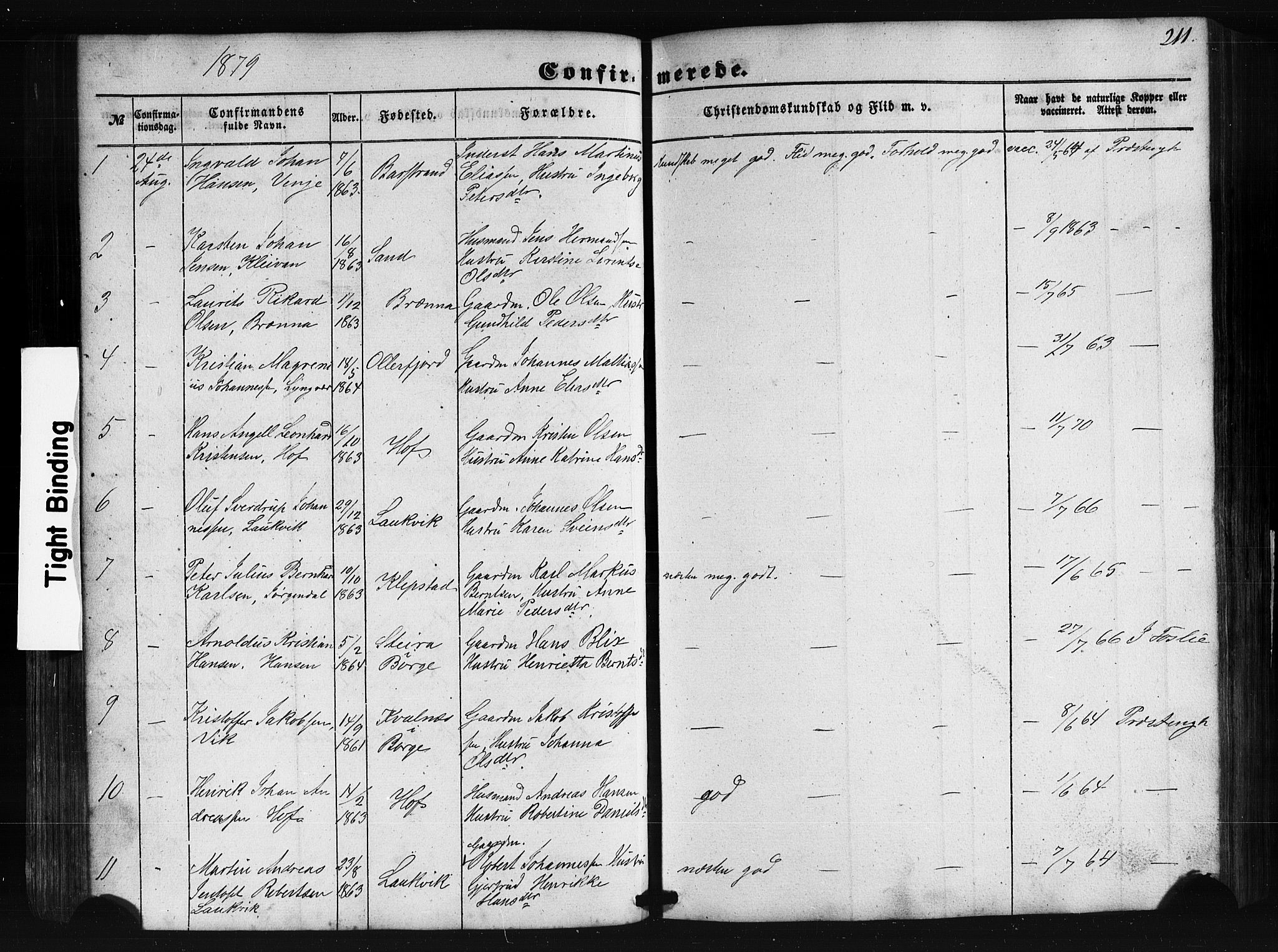 Ministerialprotokoller, klokkerbøker og fødselsregistre - Nordland, SAT/A-1459/876/L1095: Parish register (official) no. 876A01, 1863-1885, p. 211