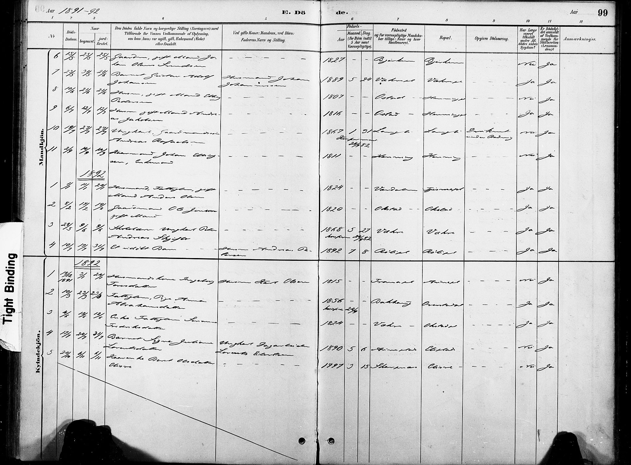 Ministerialprotokoller, klokkerbøker og fødselsregistre - Nord-Trøndelag, SAT/A-1458/738/L0364: Parish register (official) no. 738A01, 1884-1902, p. 99