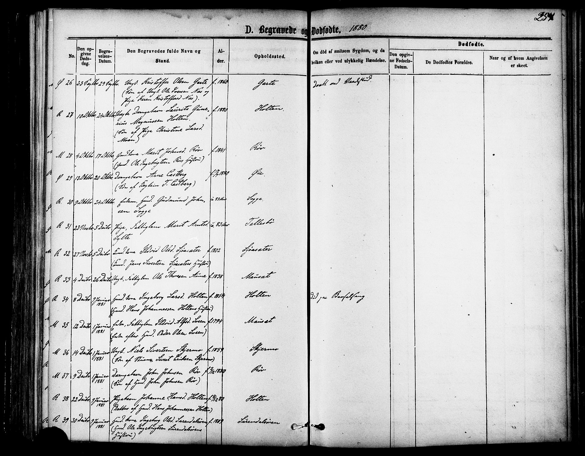 Ministerialprotokoller, klokkerbøker og fødselsregistre - Møre og Romsdal, AV/SAT-A-1454/595/L1046: Parish register (official) no. 595A08, 1874-1884, p. 254