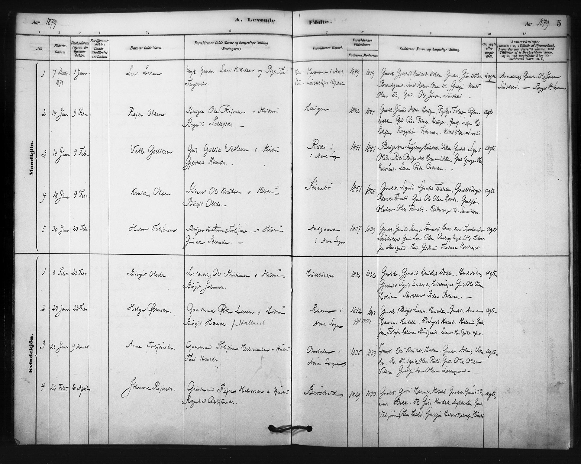 Nore kirkebøker, SAKO/A-238/F/Fc/L0003: Parish register (official) no. III 3, 1878-1884, p. 5