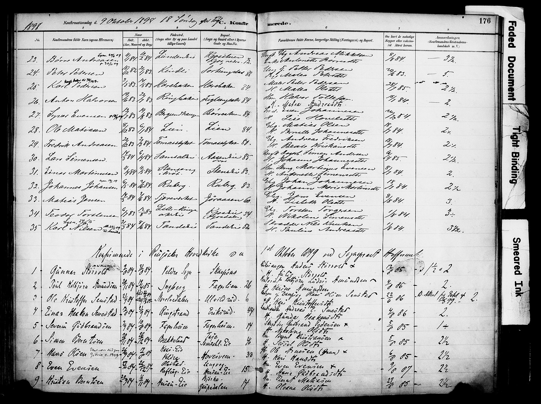 Ringsaker prestekontor, AV/SAH-PREST-014/K/Ka/L0017: Parish register (official) no. 17, 1891-1902, p. 176