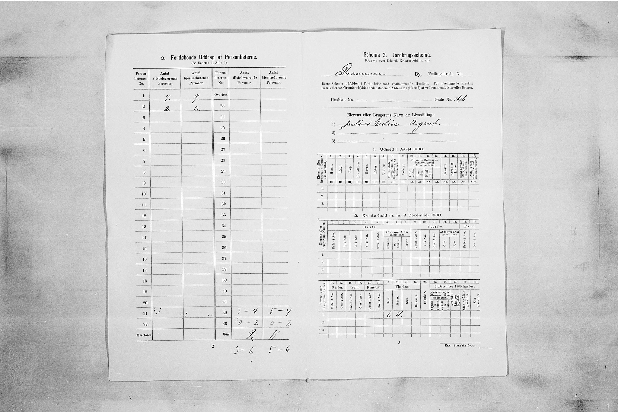 RA, 1900 census for Drammen, 1900, p. 8743