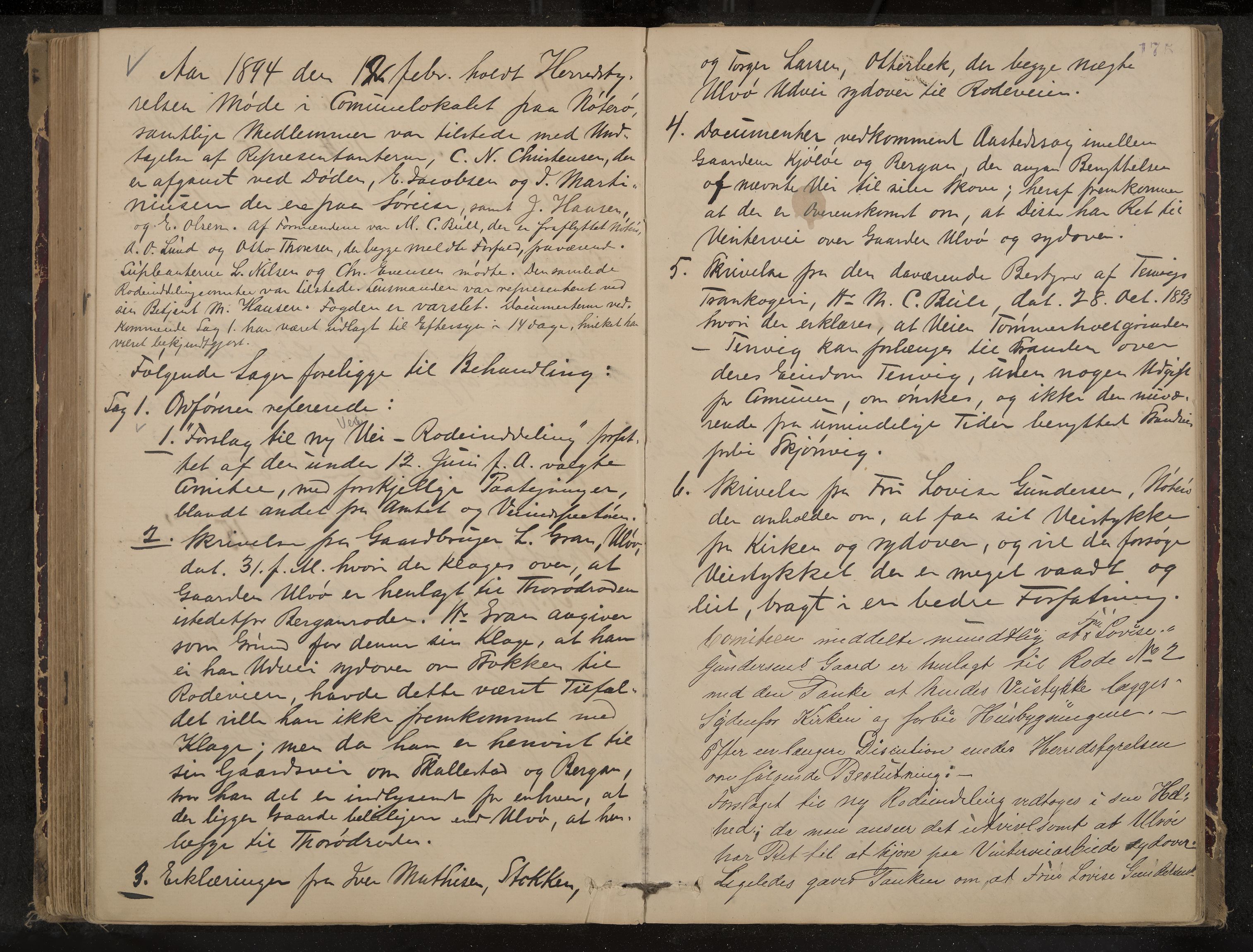 Nøtterøy formannskap og sentraladministrasjon, IKAK/0722021-1/A/Aa/L0004: Møtebok, 1887-1896, p. 175