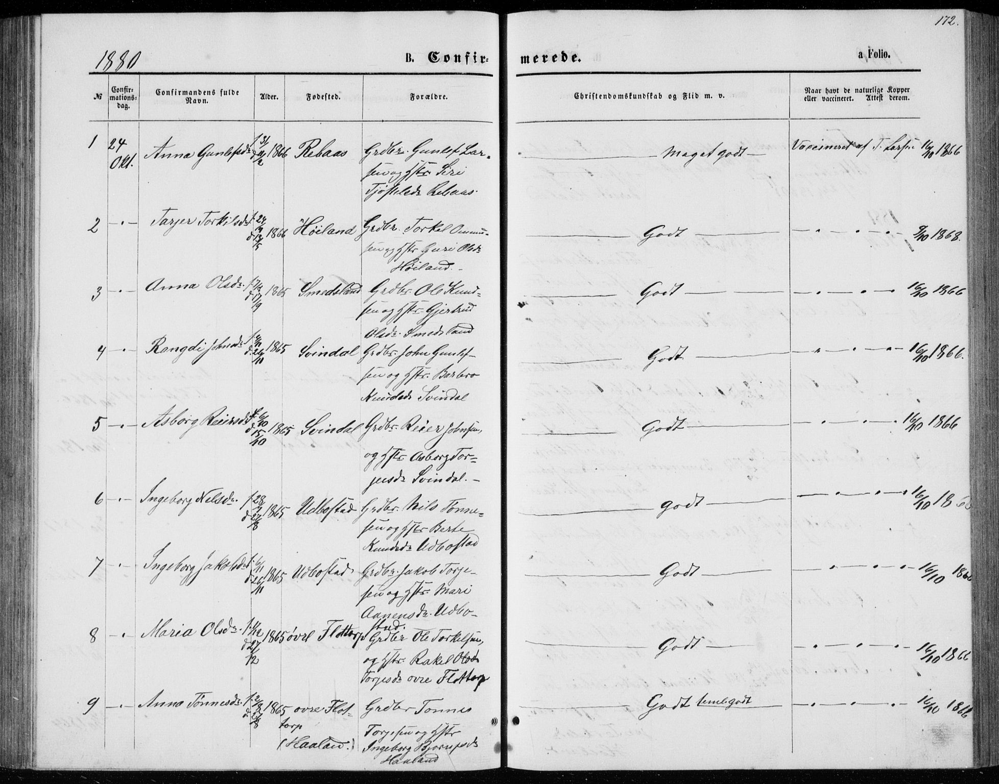 Bjelland sokneprestkontor, AV/SAK-1111-0005/F/Fb/Fbc/L0002: Parish register (copy) no. B 2, 1867-1887, p. 172