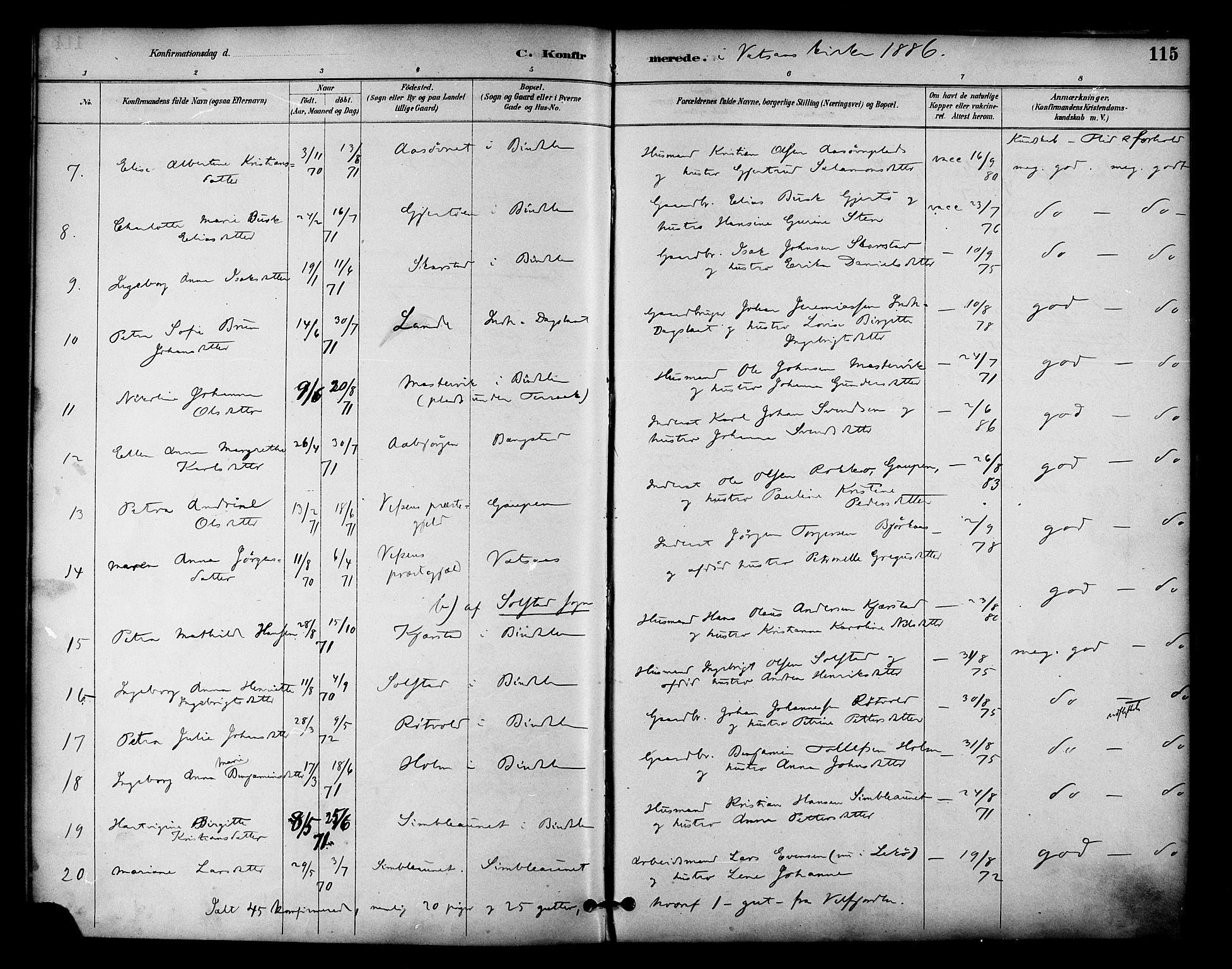 Ministerialprotokoller, klokkerbøker og fødselsregistre - Nordland, AV/SAT-A-1459/810/L0150: Parish register (official) no. 810A10 /1, 1884-1895, p. 115