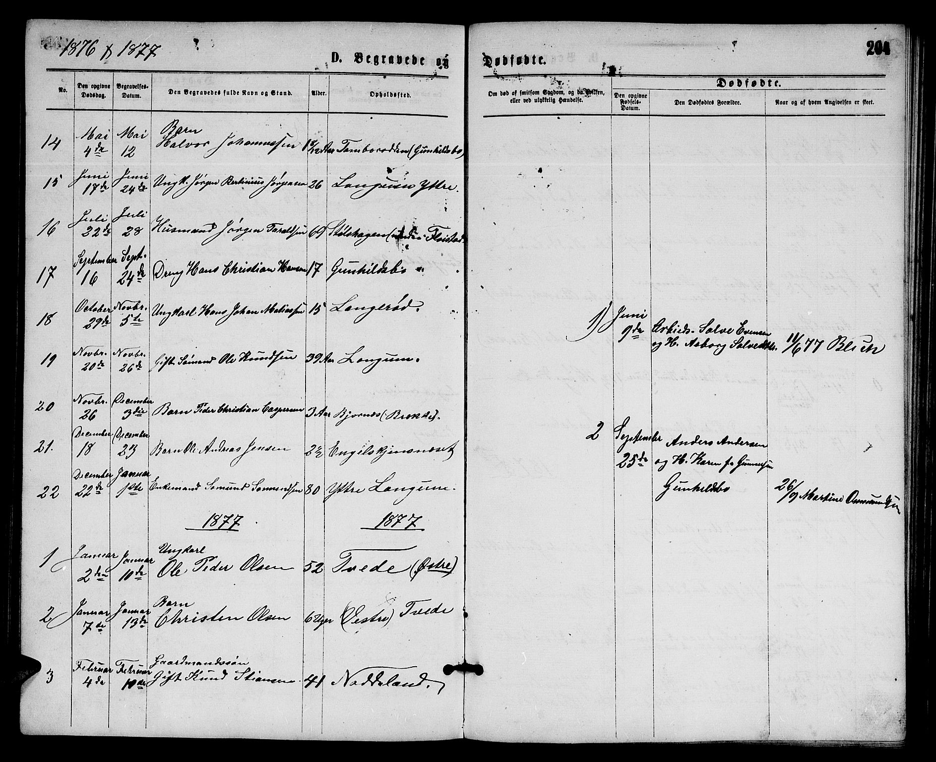 Austre Moland sokneprestkontor, AV/SAK-1111-0001/F/Fb/Fba/L0002: Parish register (copy) no. B 2, 1869-1879, p. 204
