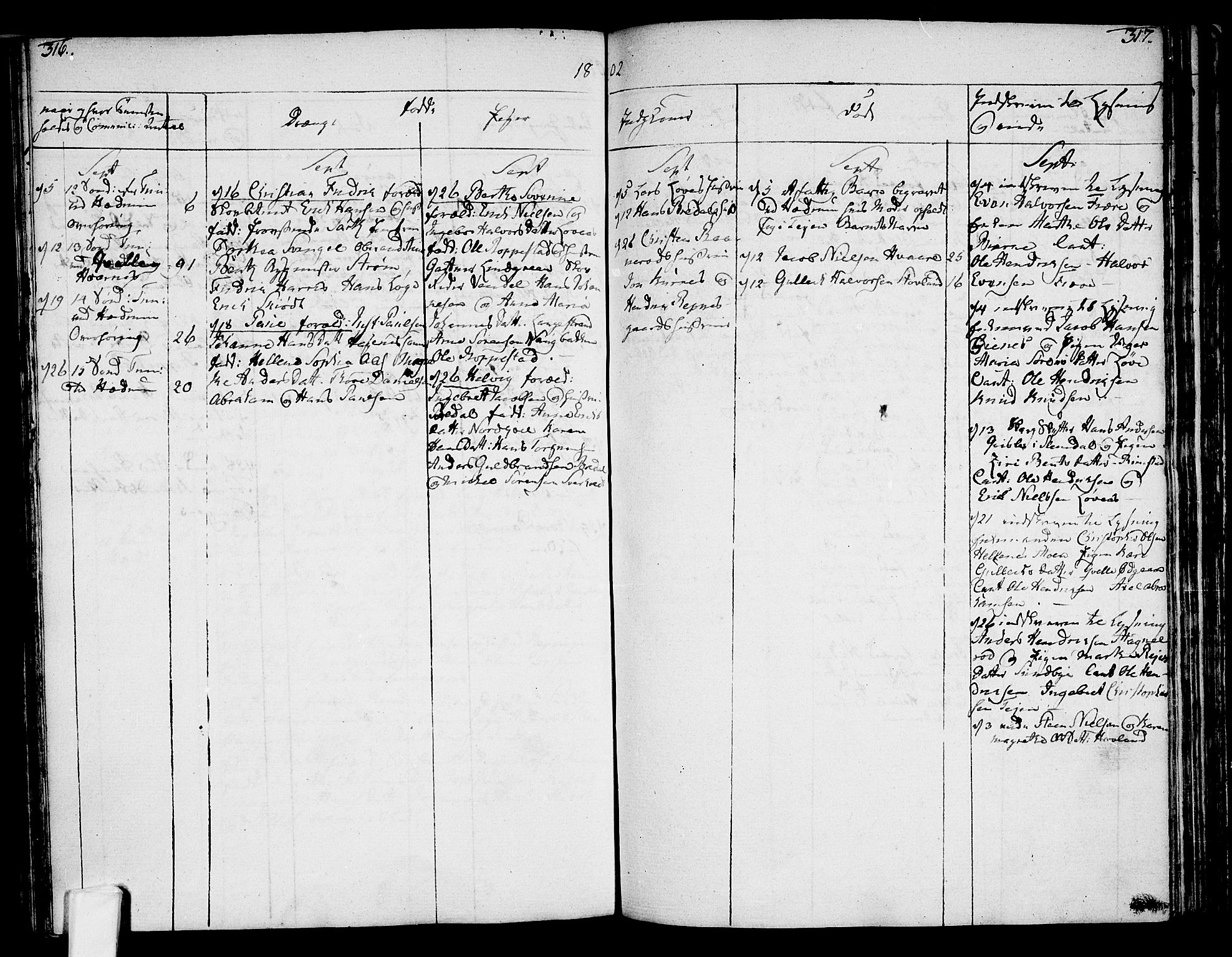 Hedrum kirkebøker, AV/SAKO-A-344/F/Fa/L0002: Parish register (official) no. I 2, 1785-1807, p. 316-317