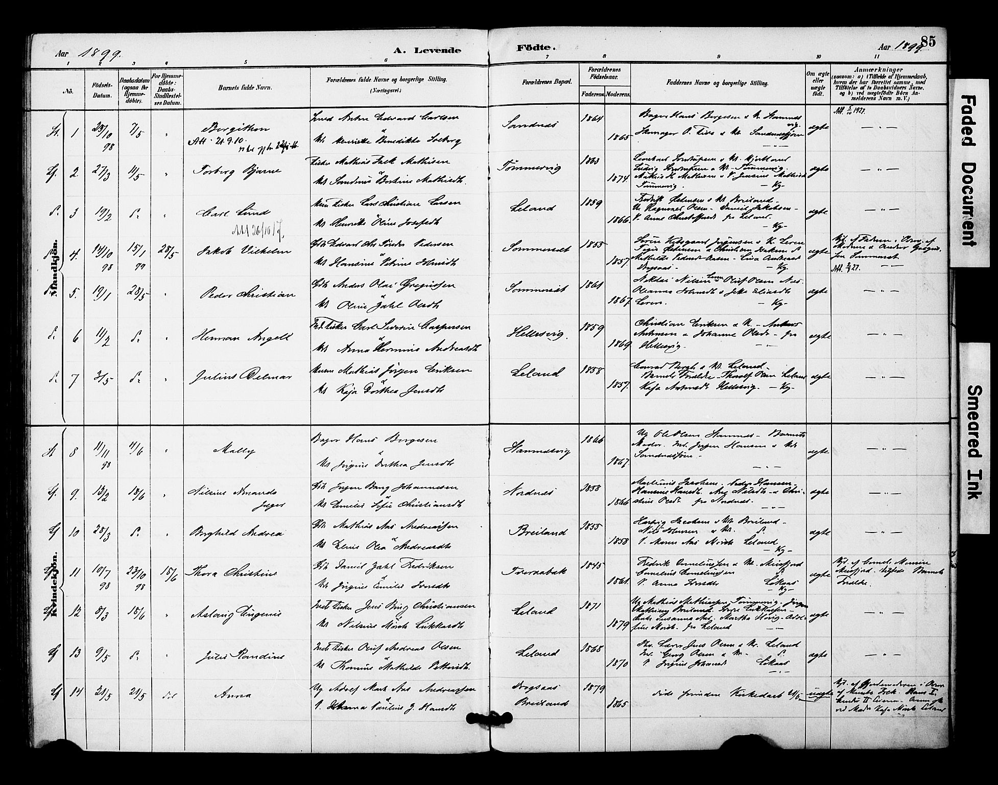 Ministerialprotokoller, klokkerbøker og fødselsregistre - Nordland, SAT/A-1459/831/L0471: Parish register (official) no. 831A02, 1886-1901, p. 85