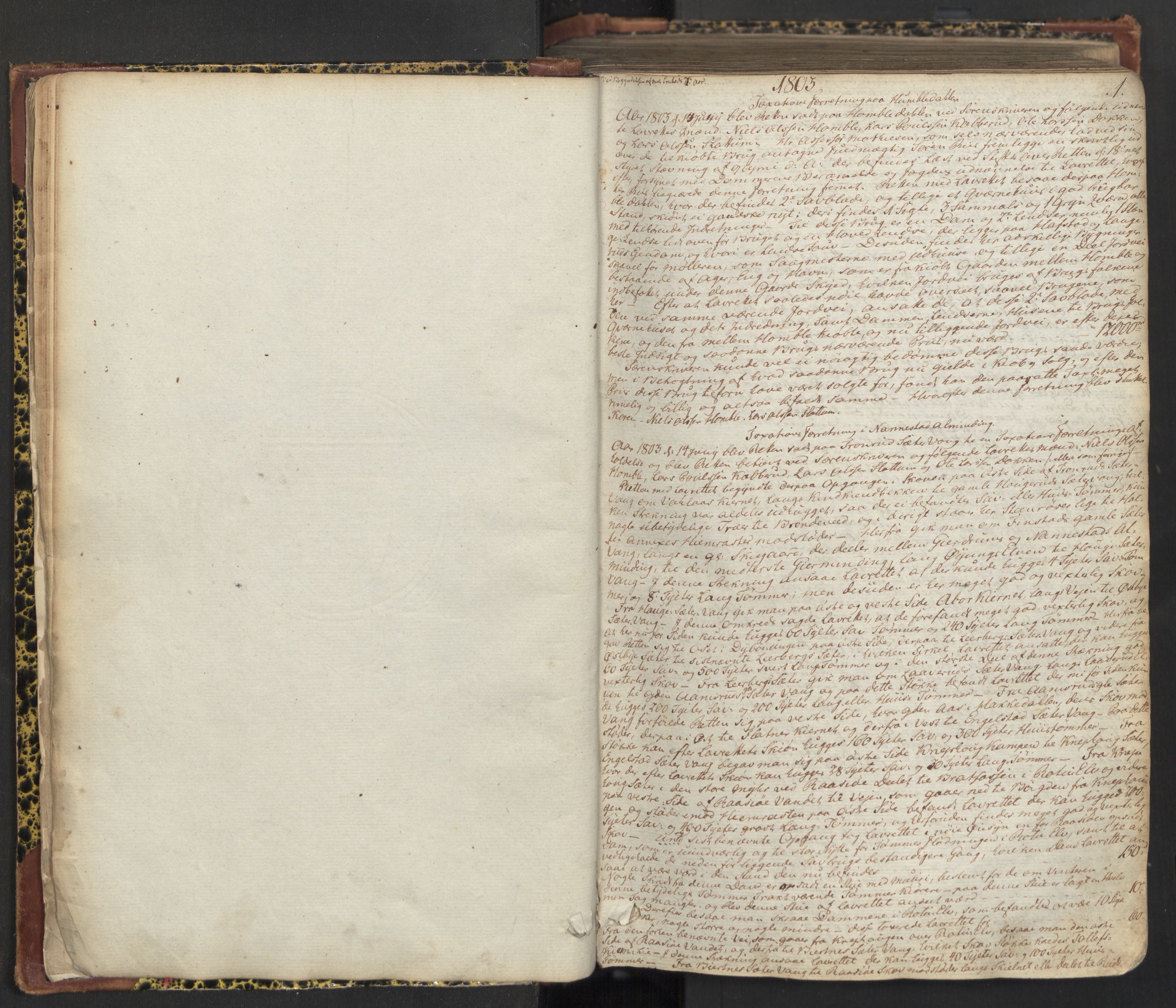 Øvre Romerike sorenskriveri, SAO/A-10649/F/Fc/Fca/L0008: Ekstrarettsprotokoll 8, 1803-1811, p. 0b-1a