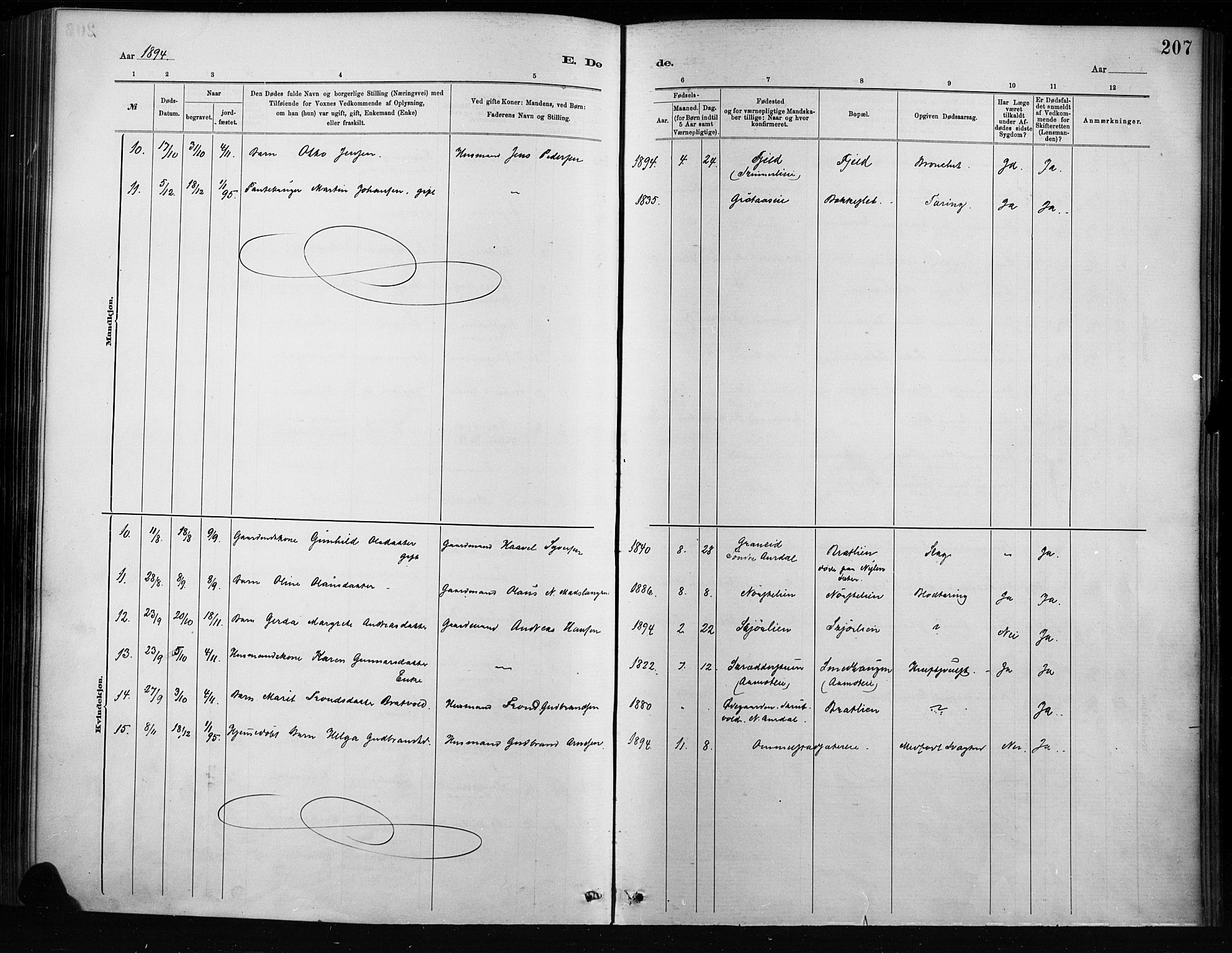 Nordre Land prestekontor, SAH/PREST-124/H/Ha/Haa/L0004: Parish register (official) no. 4, 1882-1896, p. 207