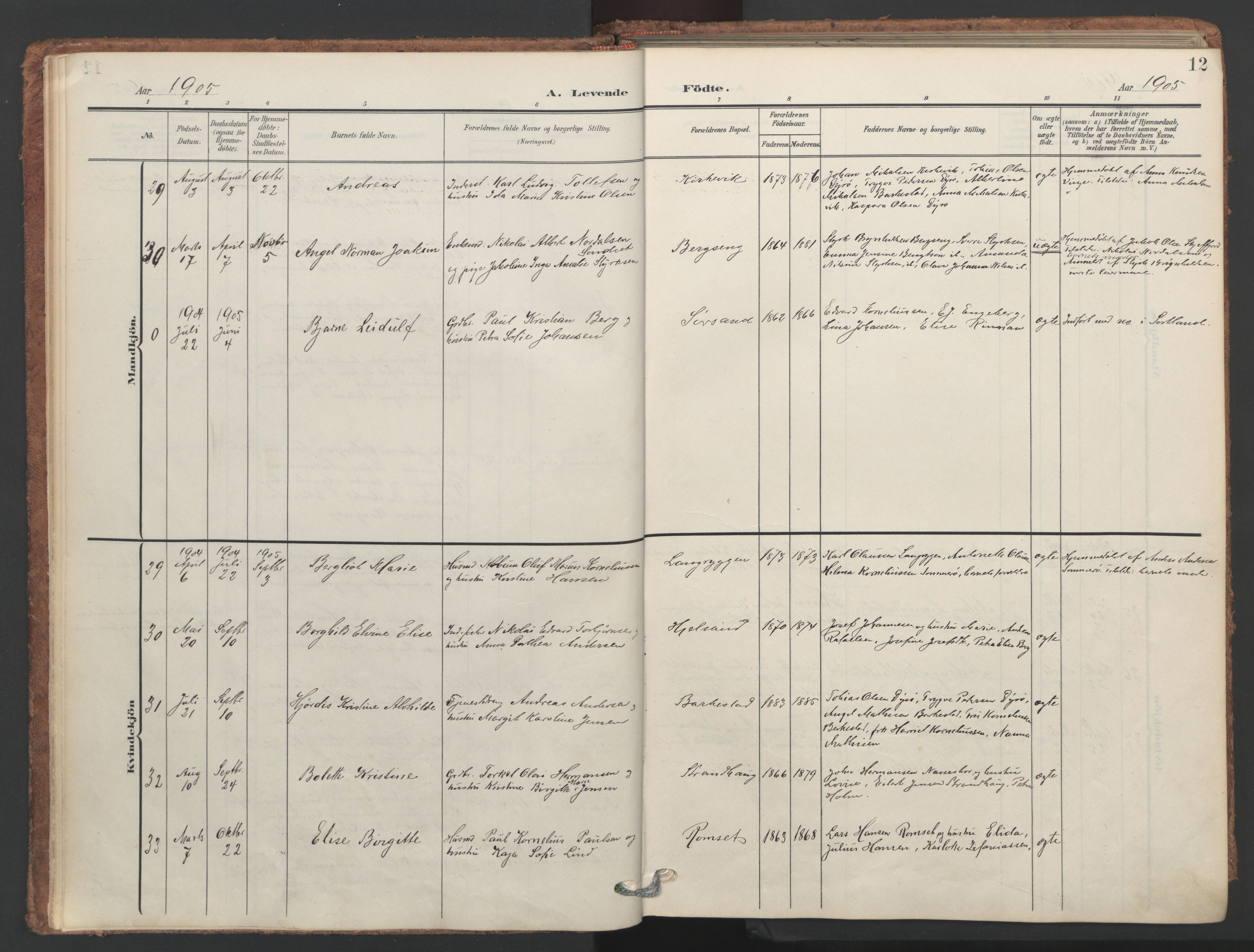 Ministerialprotokoller, klokkerbøker og fødselsregistre - Nordland, SAT/A-1459/893/L1339: Parish register (official) no. 893A11, 1904-1914, p. 12