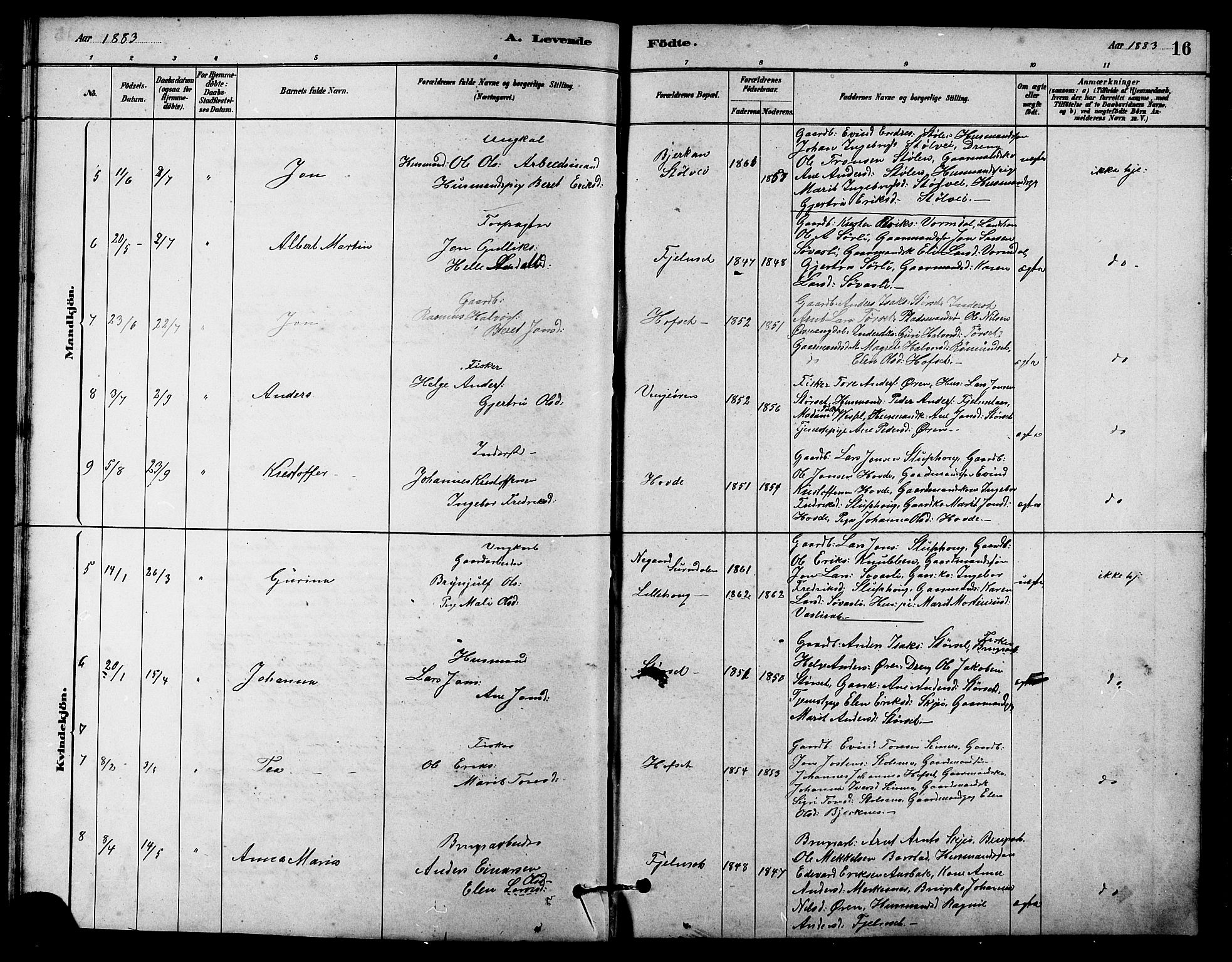 Ministerialprotokoller, klokkerbøker og fødselsregistre - Sør-Trøndelag, SAT/A-1456/631/L0514: Parish register (copy) no. 631C02, 1879-1912, p. 16