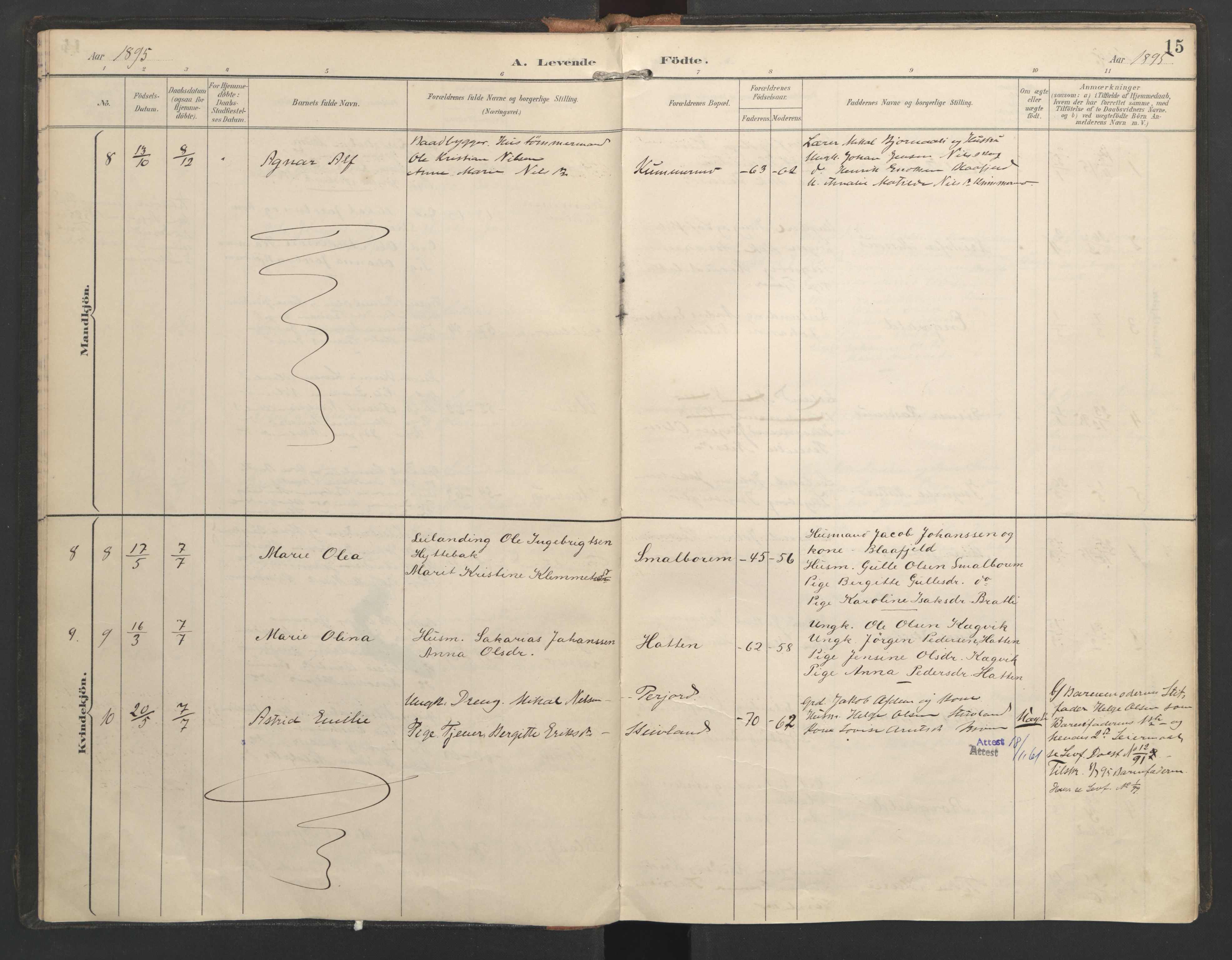 Ministerialprotokoller, klokkerbøker og fødselsregistre - Nordland, SAT/A-1459/821/L0317: Parish register (official) no. 821A01, 1892-1907, p. 15