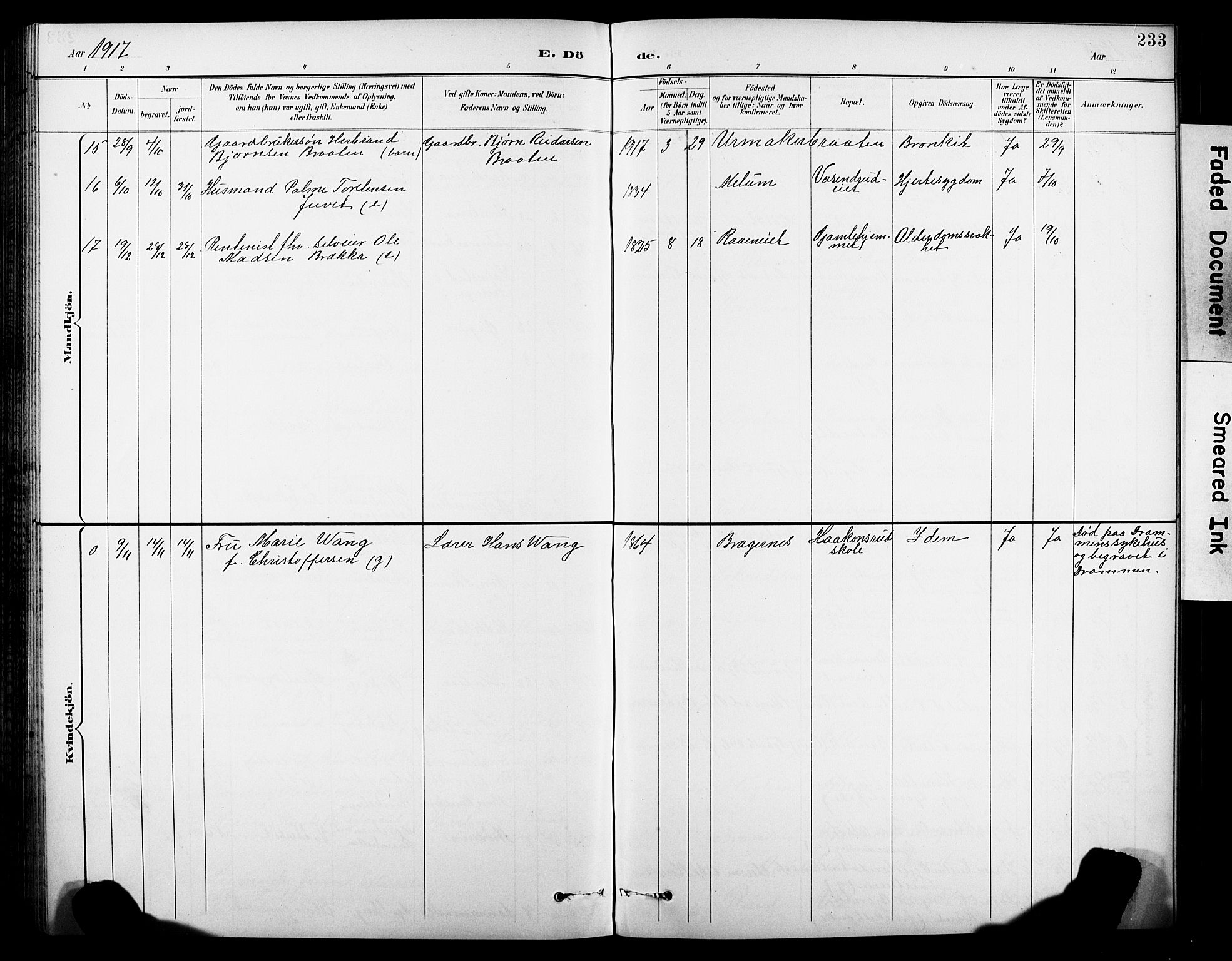 Krødsherad kirkebøker, SAKO/A-19/G/Ga/L0002: Parish register (copy) no. 2, 1894-1918, p. 233