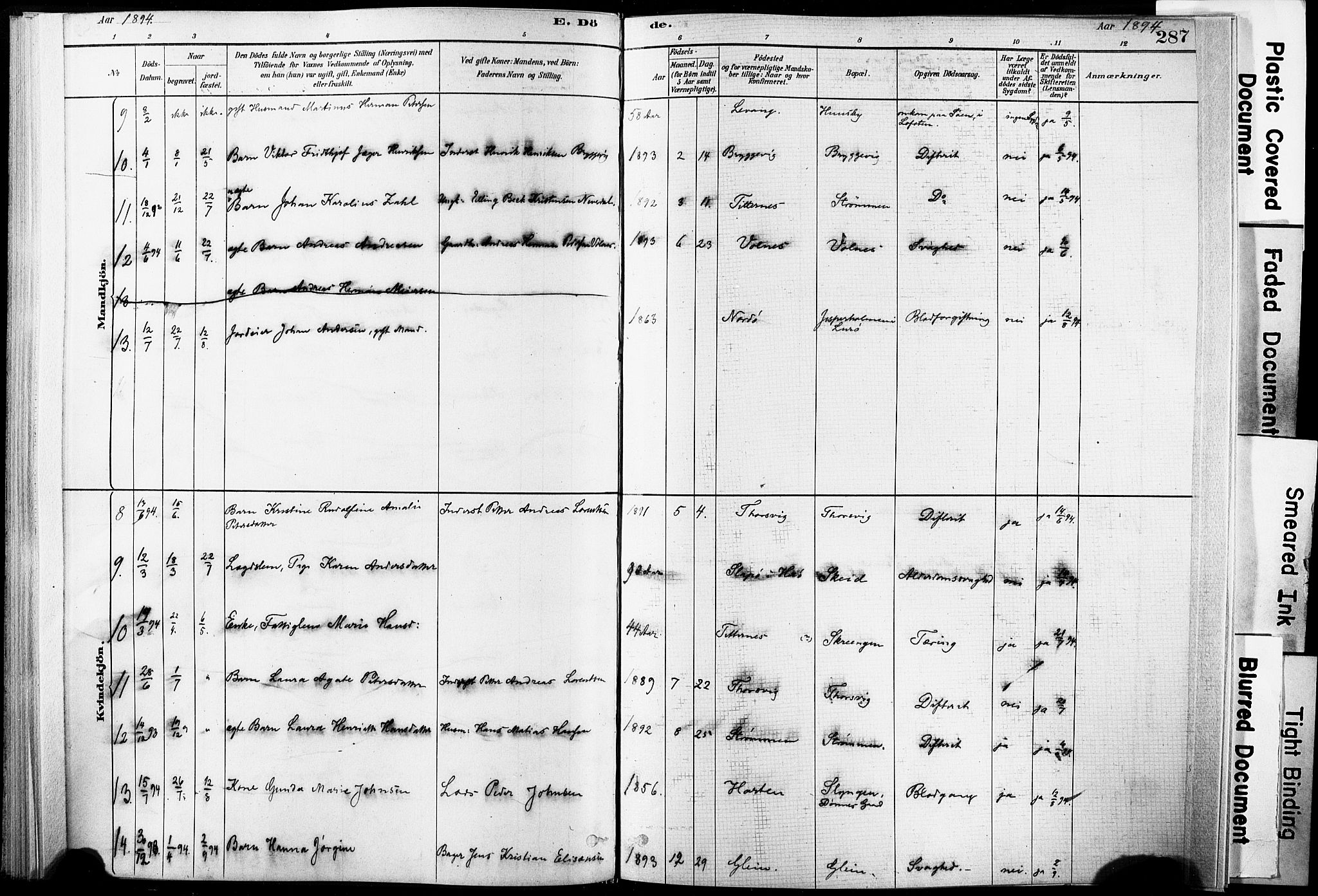 Ministerialprotokoller, klokkerbøker og fødselsregistre - Nordland, AV/SAT-A-1459/835/L0526: Parish register (official) no. 835A03II, 1881-1910, p. 287