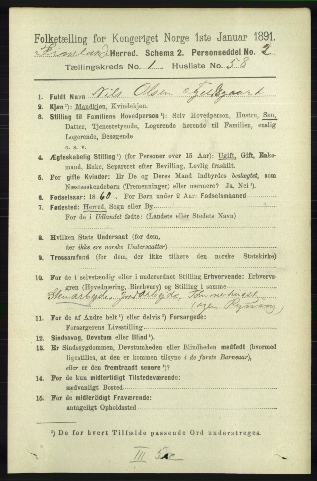 RA, 1891 census for 1023 Finsland, 1891, p. 369