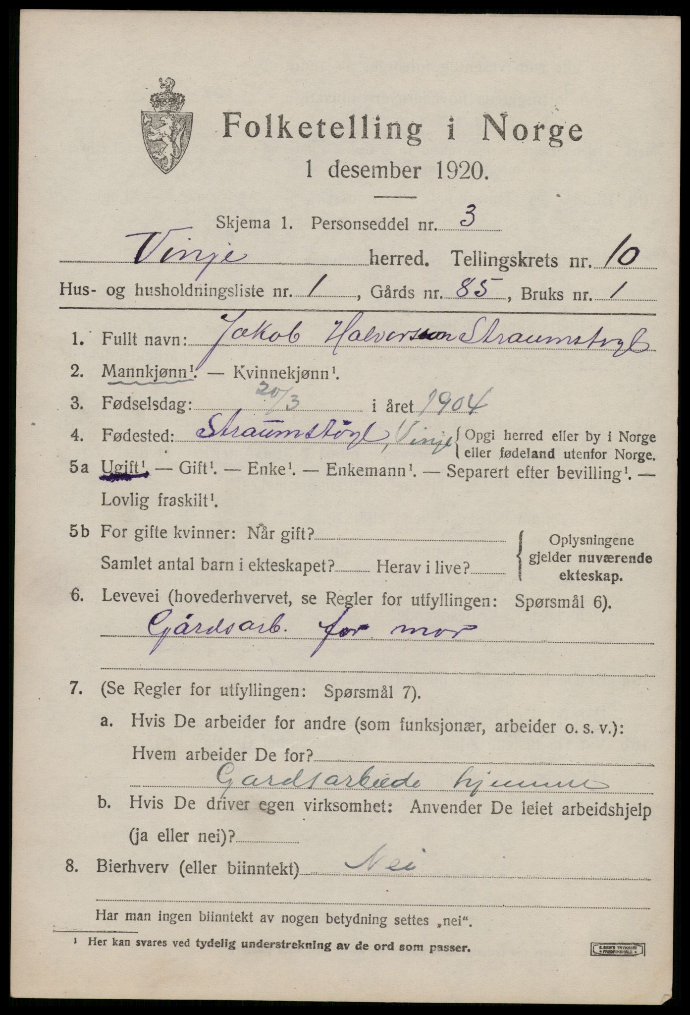 SAKO, 1920 census for Vinje, 1920, p. 2987