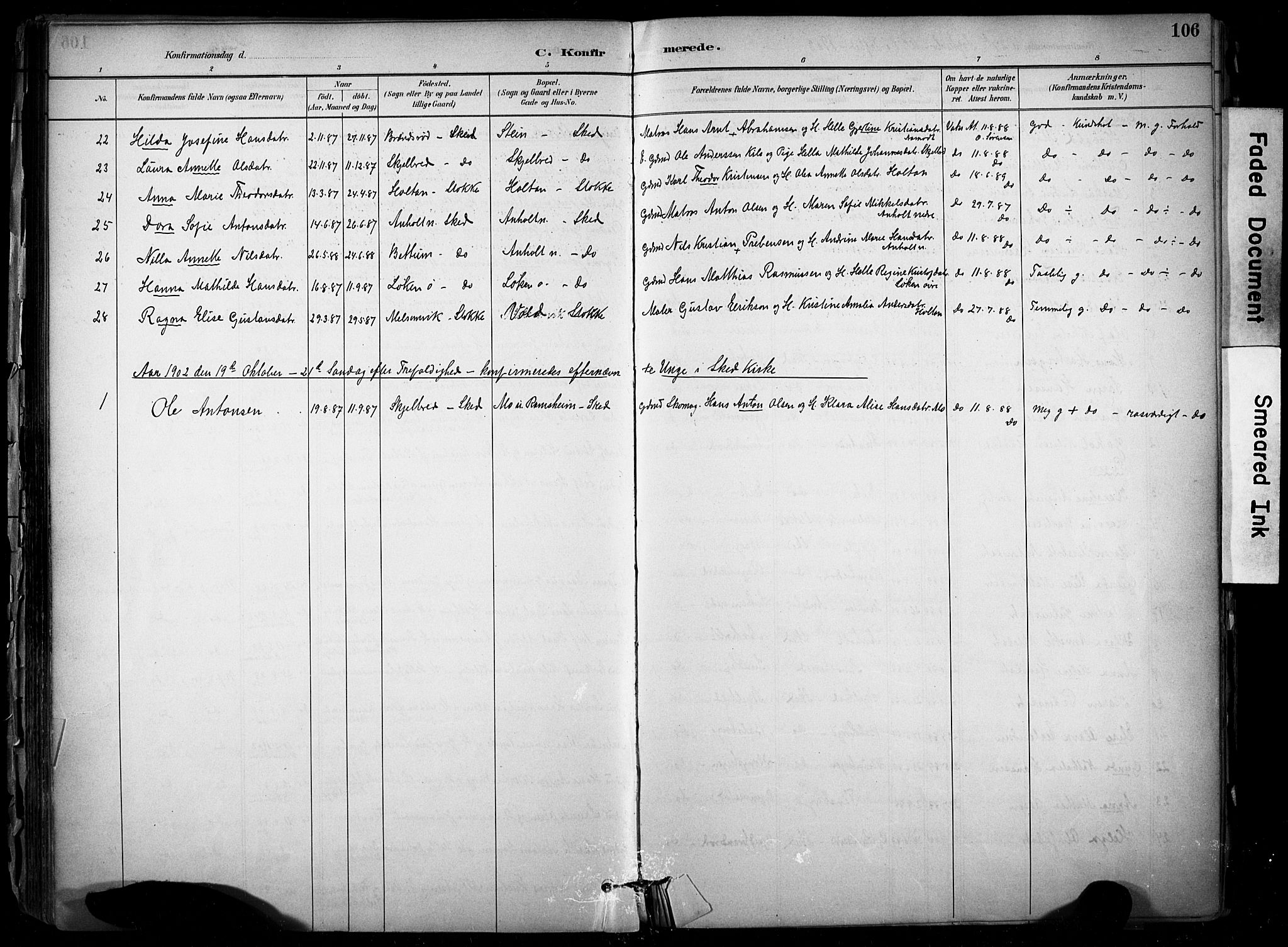 Stokke kirkebøker, AV/SAKO-A-320/F/Fb/L0001: Parish register (official) no. II 1, 1884-1910, p. 106