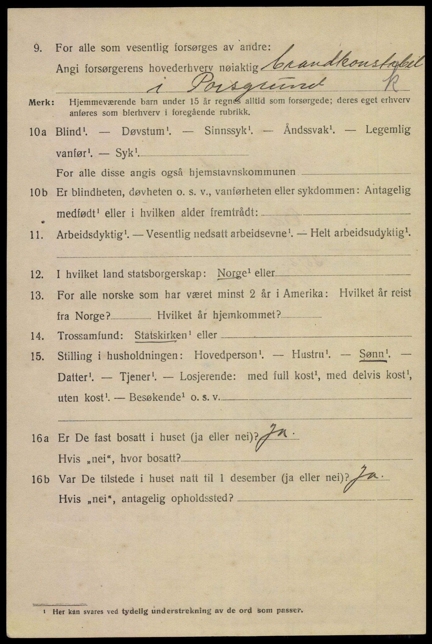 SAKO, 1920 census for Porsgrunn, 1920, p. 17402