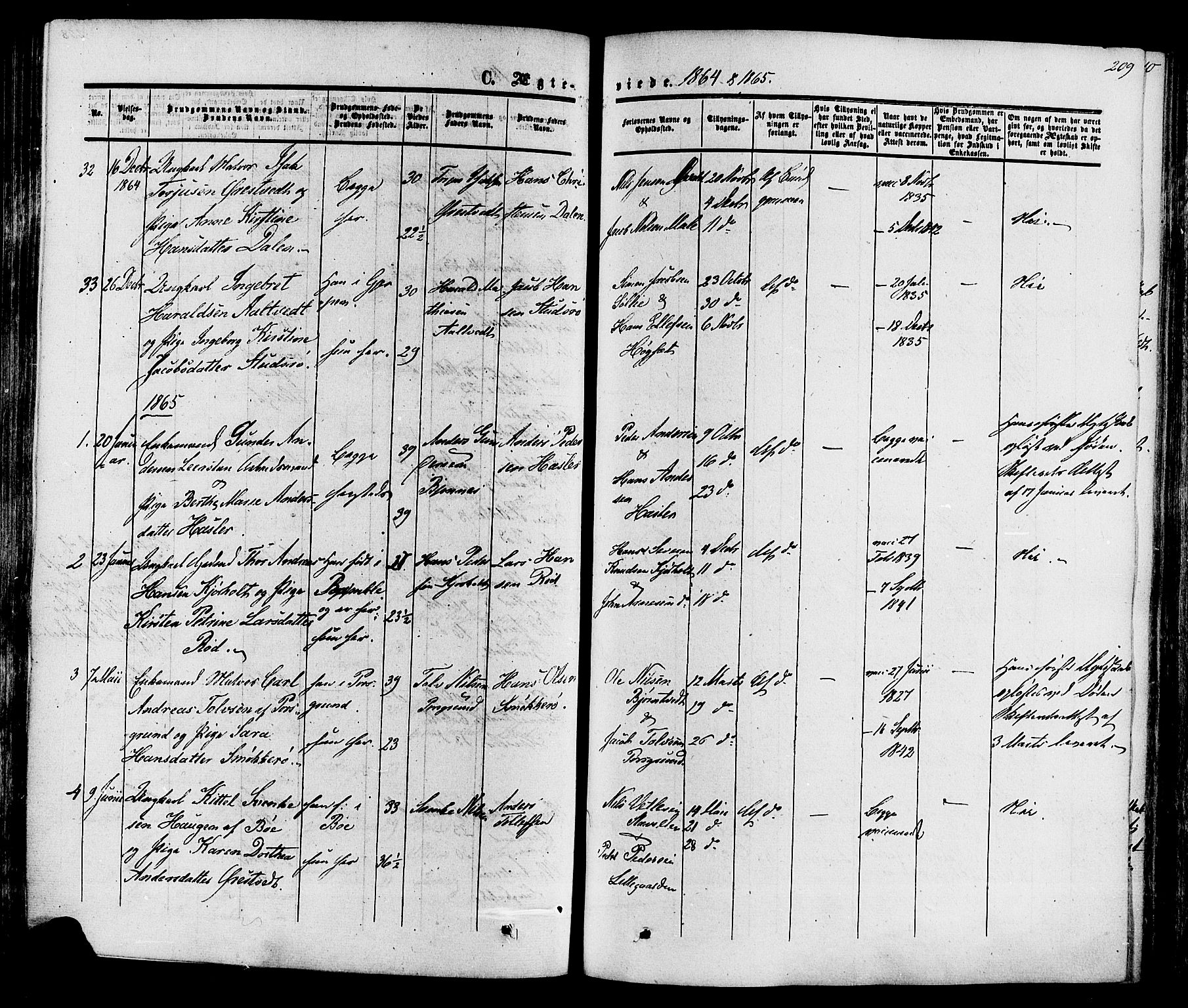 Eidanger kirkebøker, SAKO/A-261/F/Fa/L0010: Parish register (official) no. 10, 1859-1874, p. 209