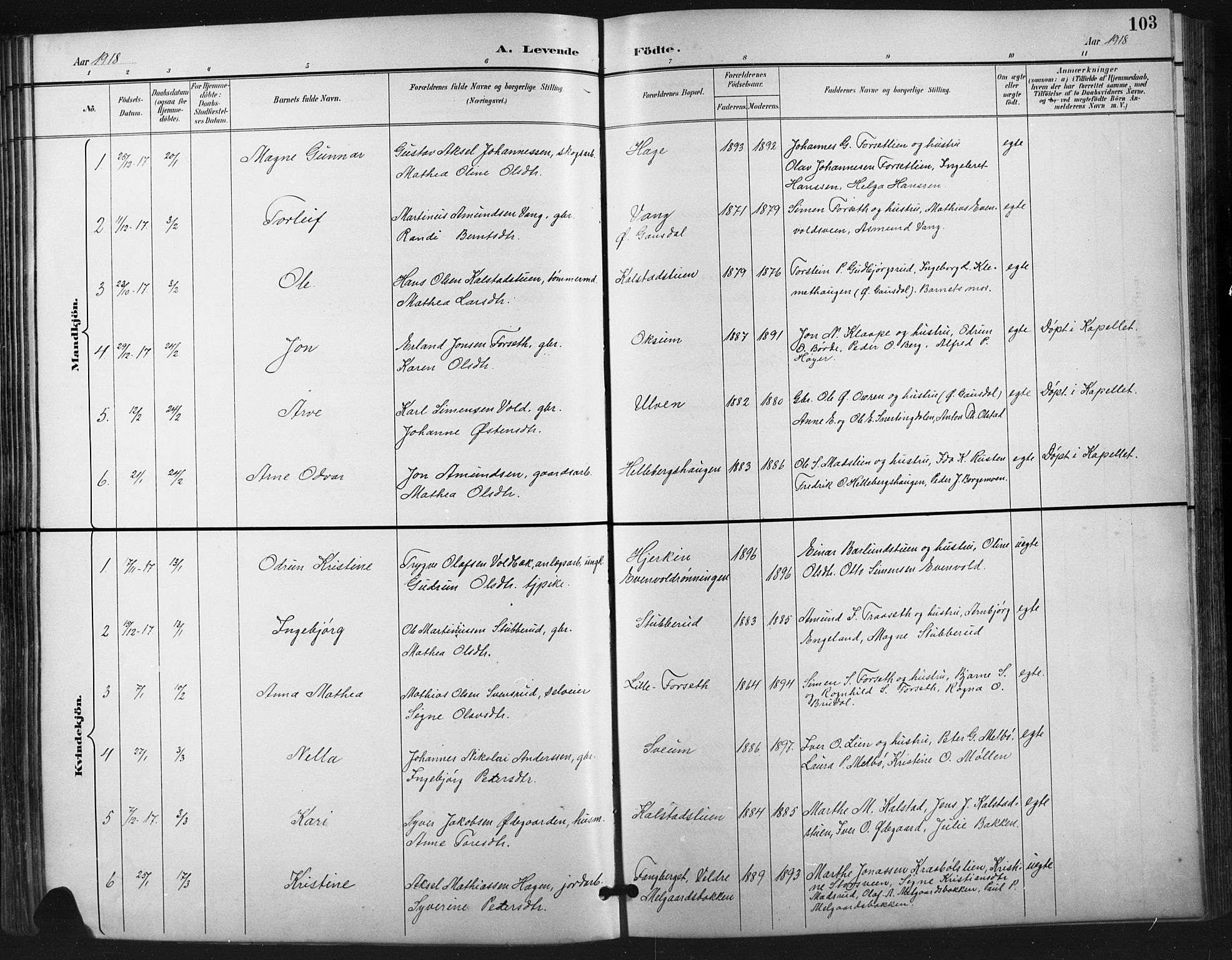 Vestre Gausdal prestekontor, SAH/PREST-094/H/Ha/Hab/L0003: Parish register (copy) no. 3, 1896-1925, p. 103