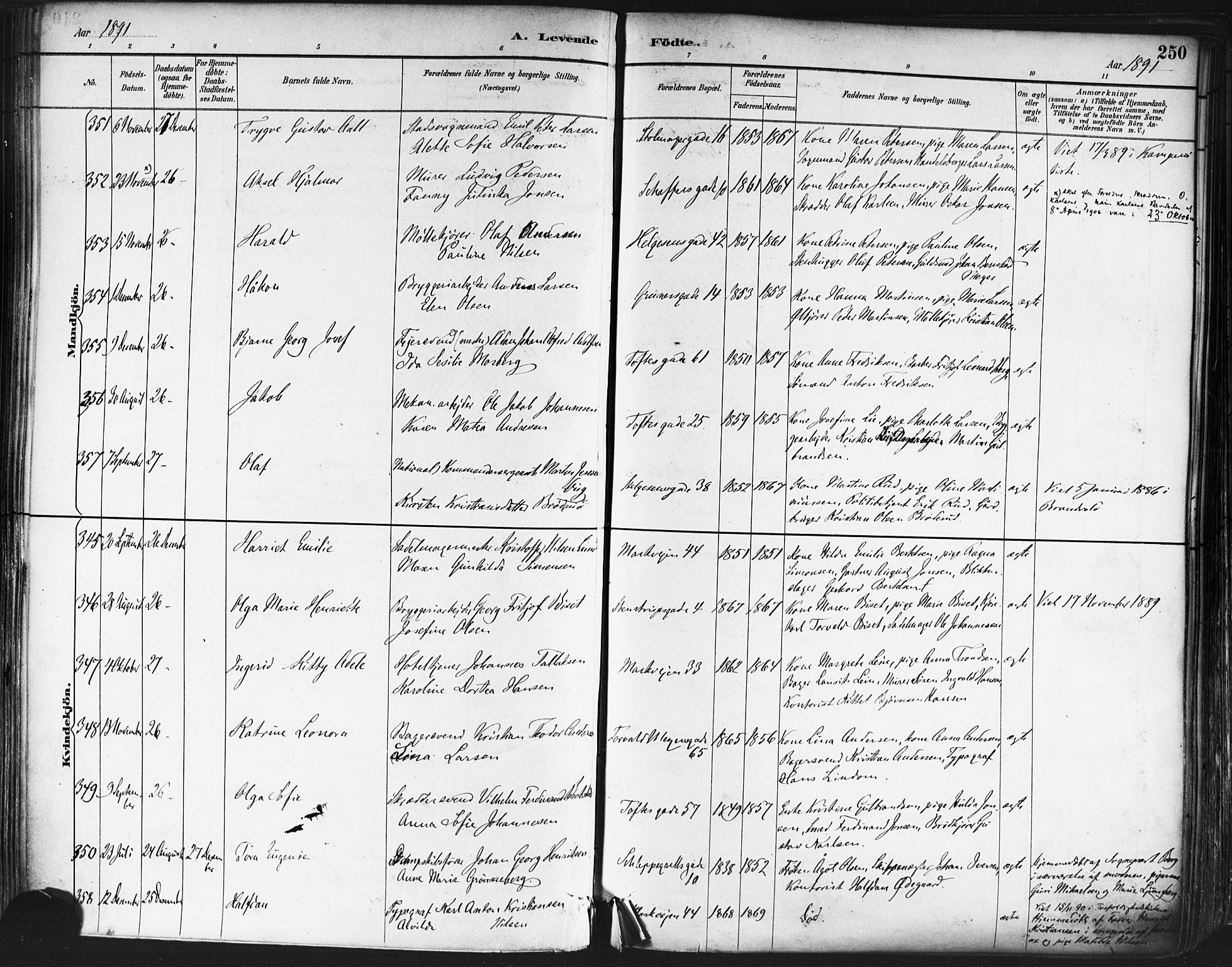 Paulus prestekontor Kirkebøker, AV/SAO-A-10871/F/Fa/L0013: Parish register (official) no. 13, 1887-1894, p. 250