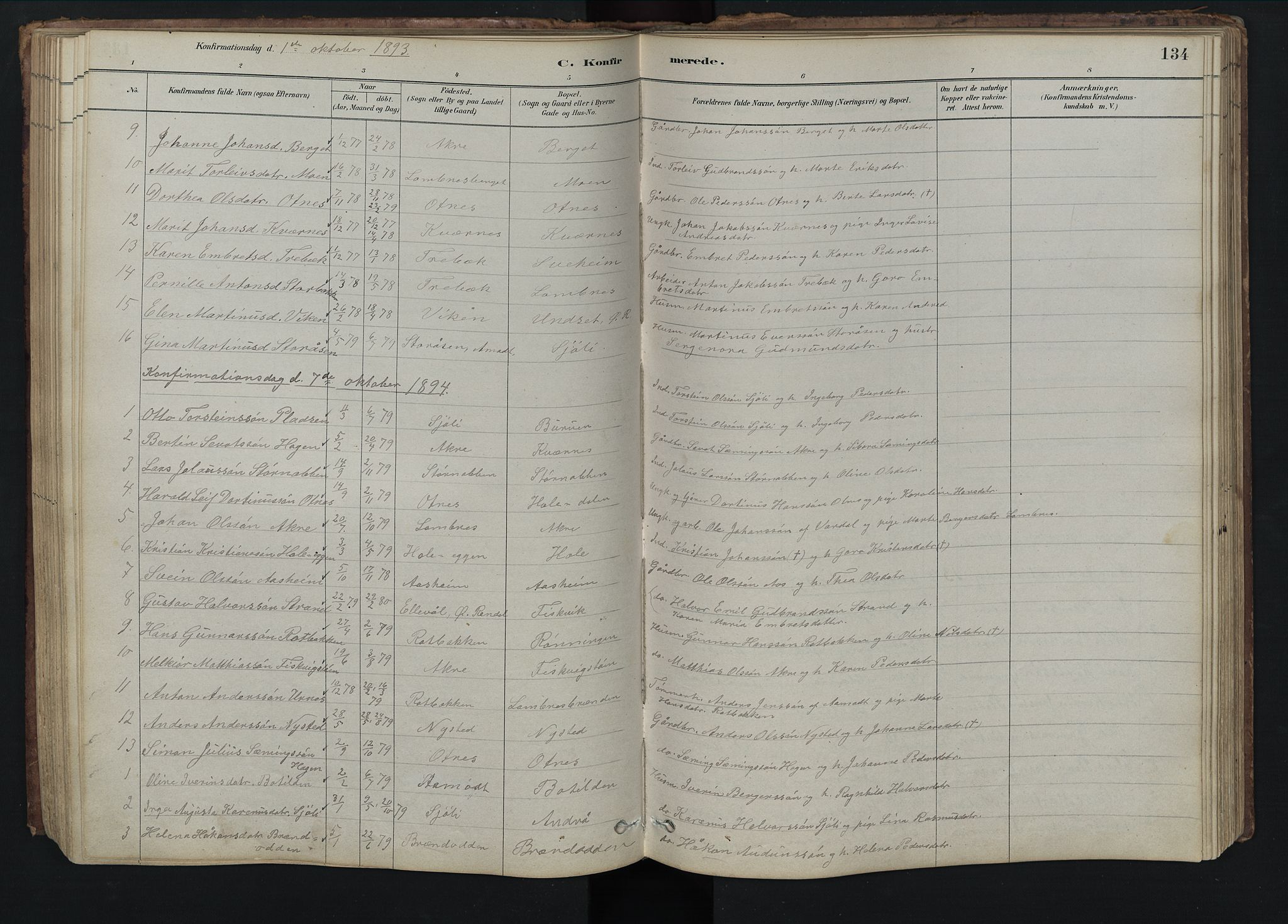 Rendalen prestekontor, SAH/PREST-054/H/Ha/Hab/L0009: Parish register (copy) no. 9, 1879-1902, p. 134