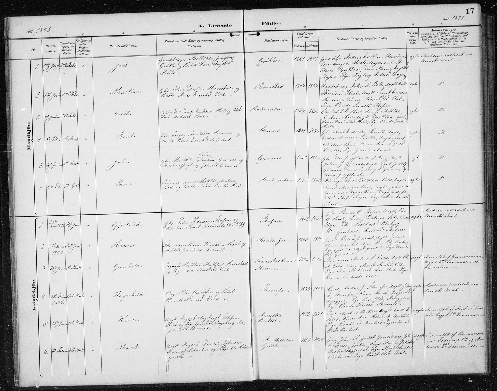 Ministerialprotokoller, klokkerbøker og fødselsregistre - Sør-Trøndelag, SAT/A-1456/674/L0876: Parish register (copy) no. 674C03, 1892-1912, p. 17