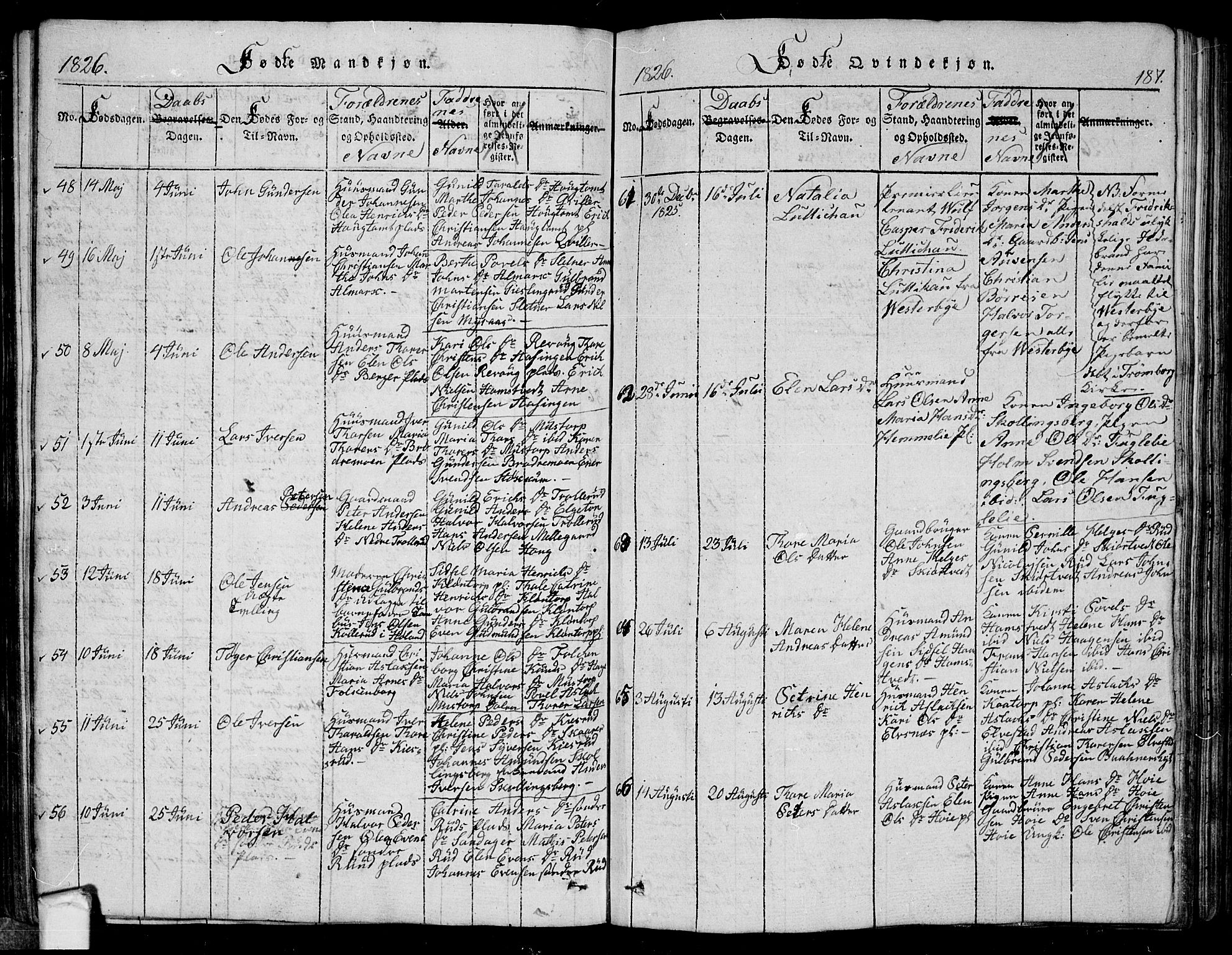 Eidsberg prestekontor Kirkebøker, SAO/A-10905/G/Ga/L0001: Parish register (copy) no. I 1, 1814-1831, p. 187