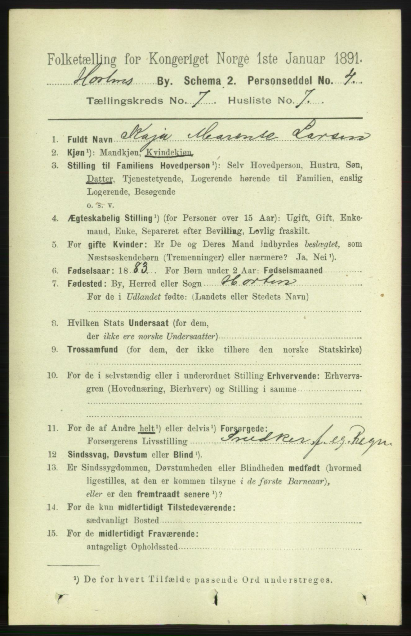 RA, 1891 census for 0703 Horten, 1891, p. 4466