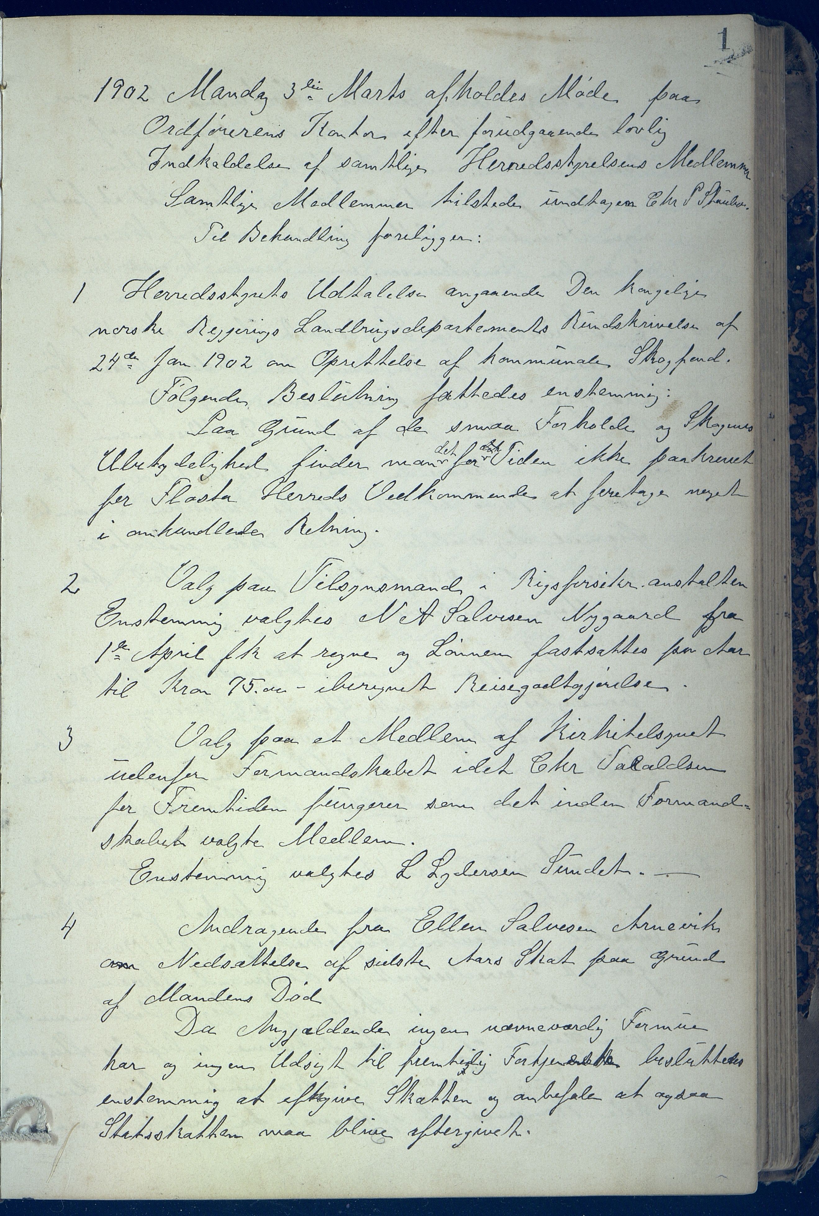 Flosta kommune frem til 1961, AAKS/KA0916-PK/01/01A/L0001: Møtebok kommunestyret, 1902-1920, p. 1