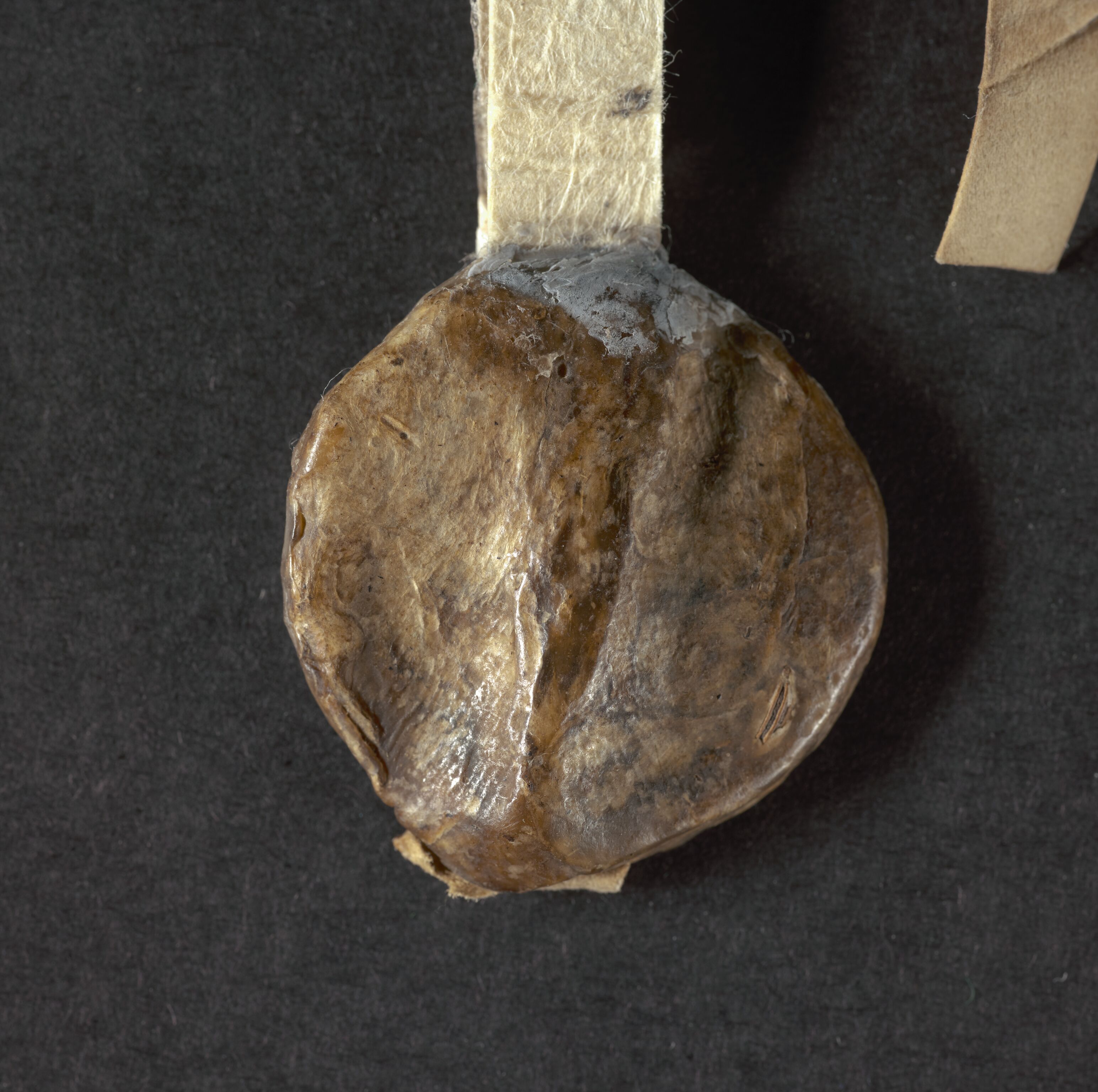 Riksarkivets diplomsamling, AV/RA-EA-5965/F01/F01a/L0045: Dokumenter, 1338, p. 18