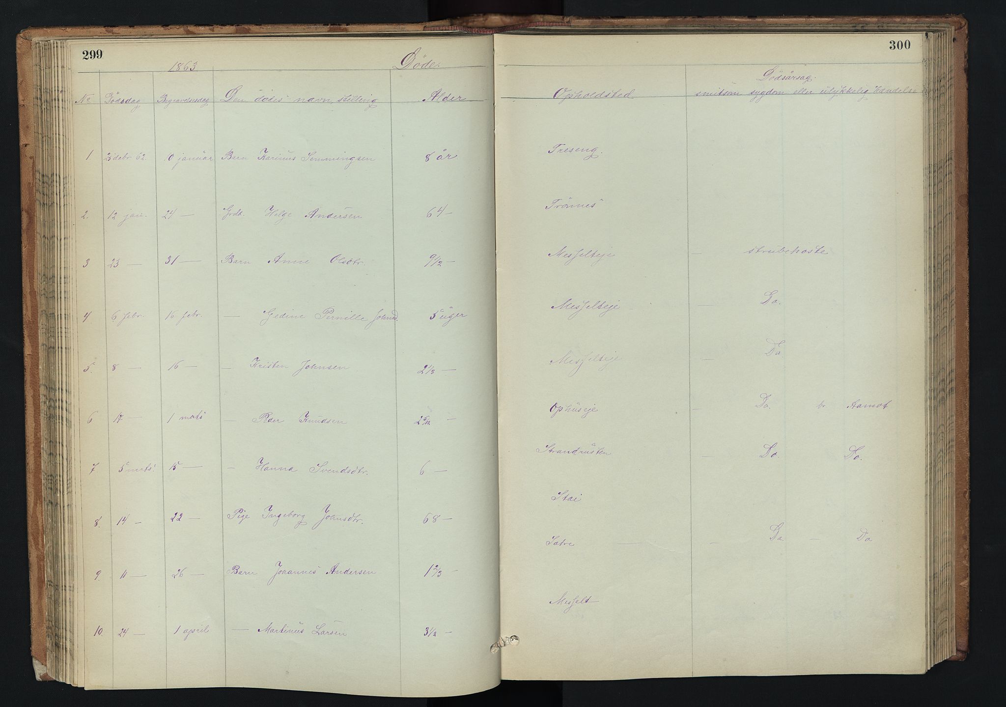 Stor-Elvdal prestekontor, AV/SAH-PREST-052/H/Ha/Hab/L0002: Parish register (copy) no. 2, 1860-1894, p. 299-300