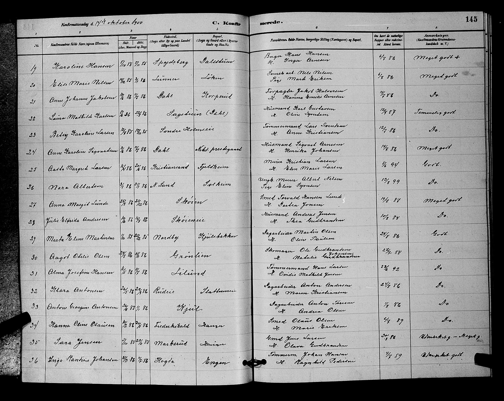 Nittedal prestekontor Kirkebøker, SAO/A-10365a/G/Ga/L0002: Parish register (copy) no. I 2, 1879-1901, p. 145