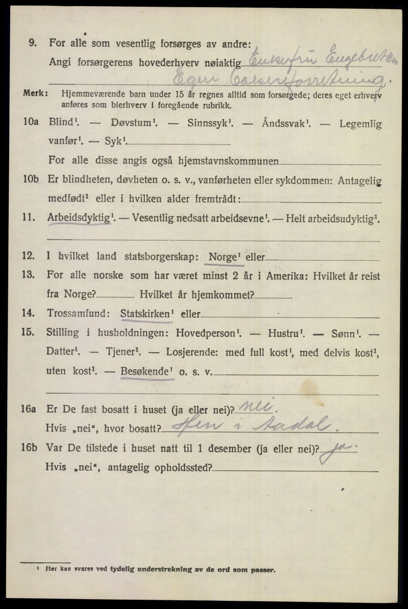 SAKO, 1920 census for Norderhov, 1920, p. 12175