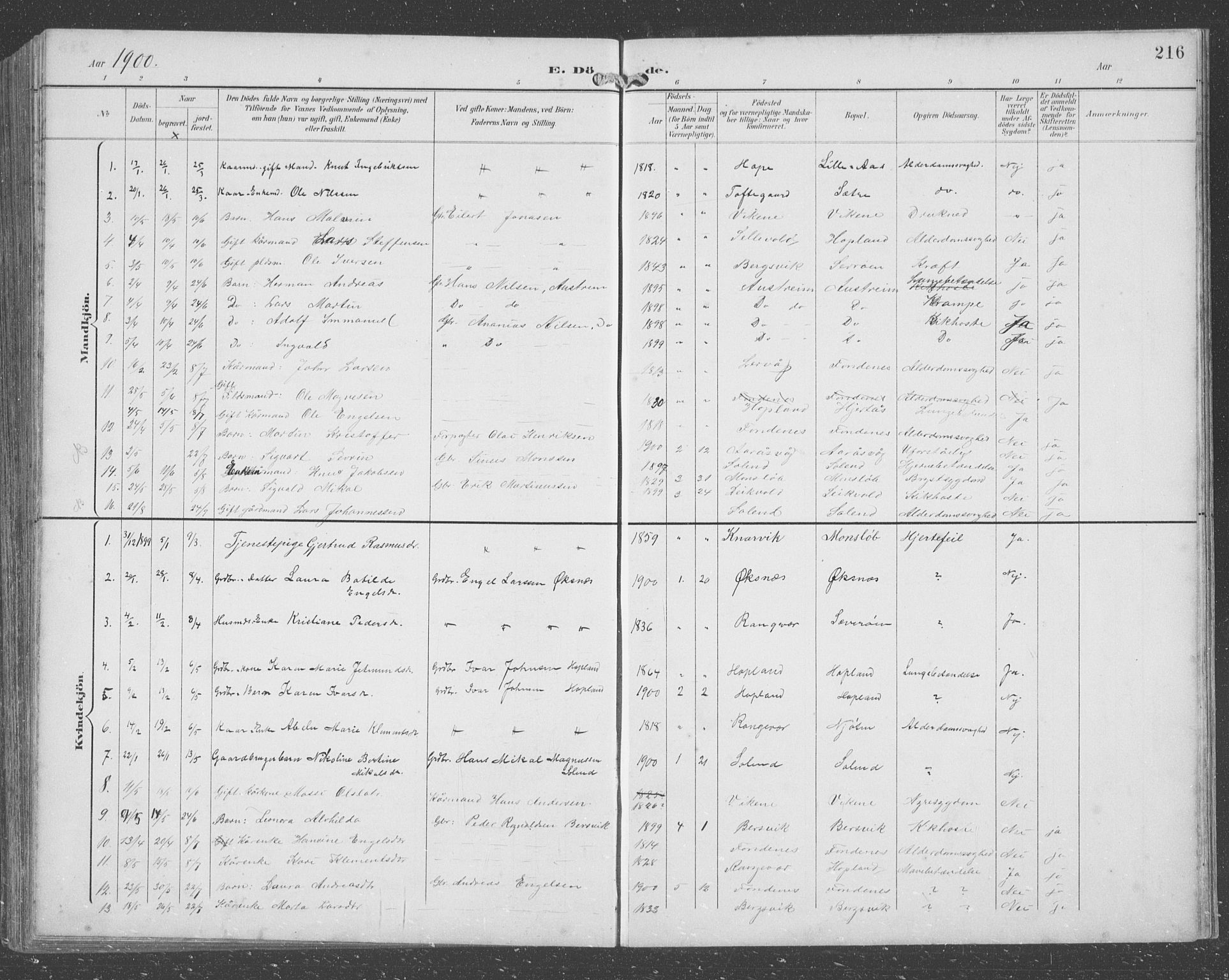Lindås Sokneprestembete, SAB/A-76701/H/Hab: Parish register (copy) no. C 4, 1894-1910, p. 216
