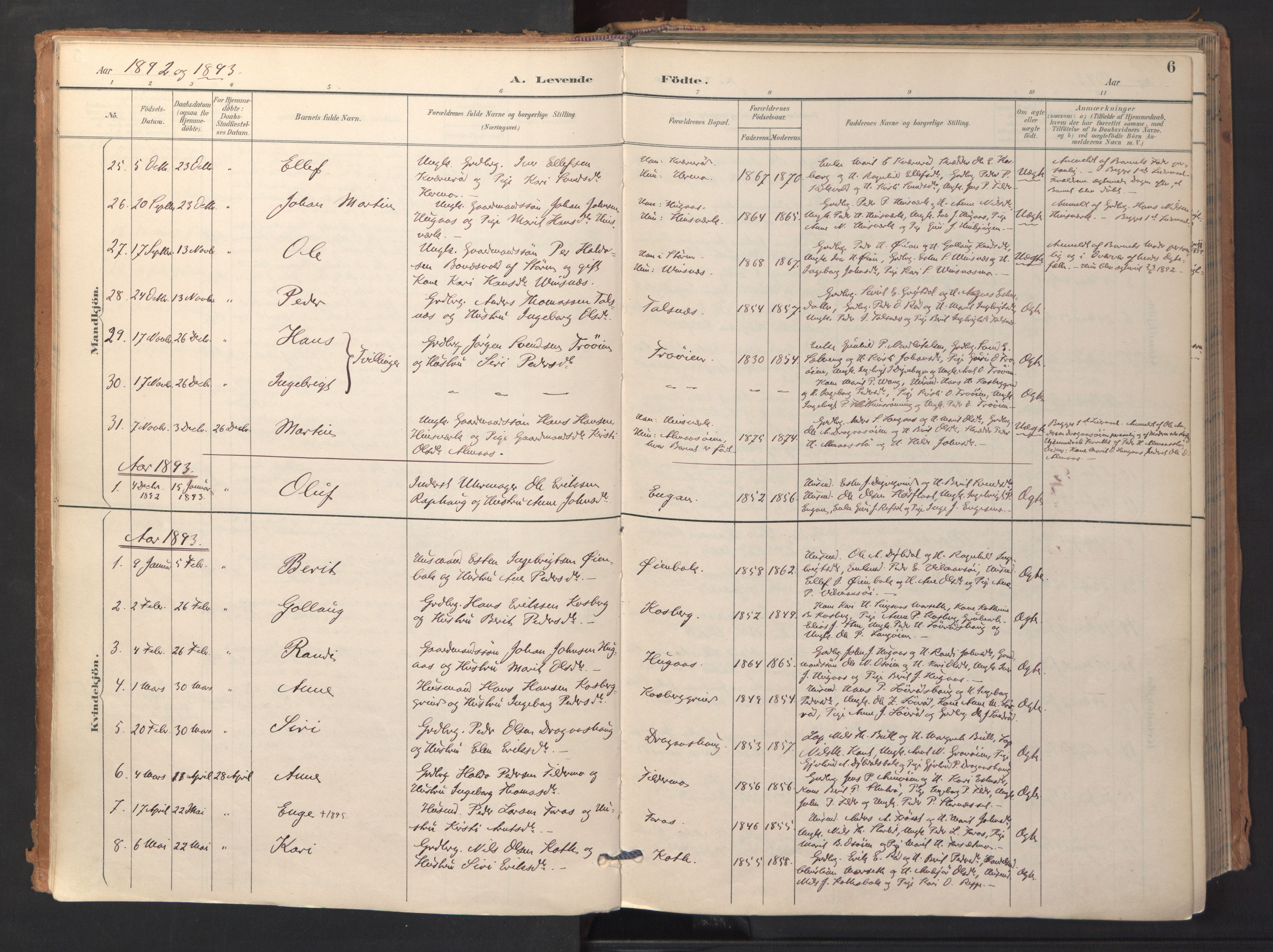 Ministerialprotokoller, klokkerbøker og fødselsregistre - Sør-Trøndelag, SAT/A-1456/688/L1025: Parish register (official) no. 688A02, 1891-1909, p. 6