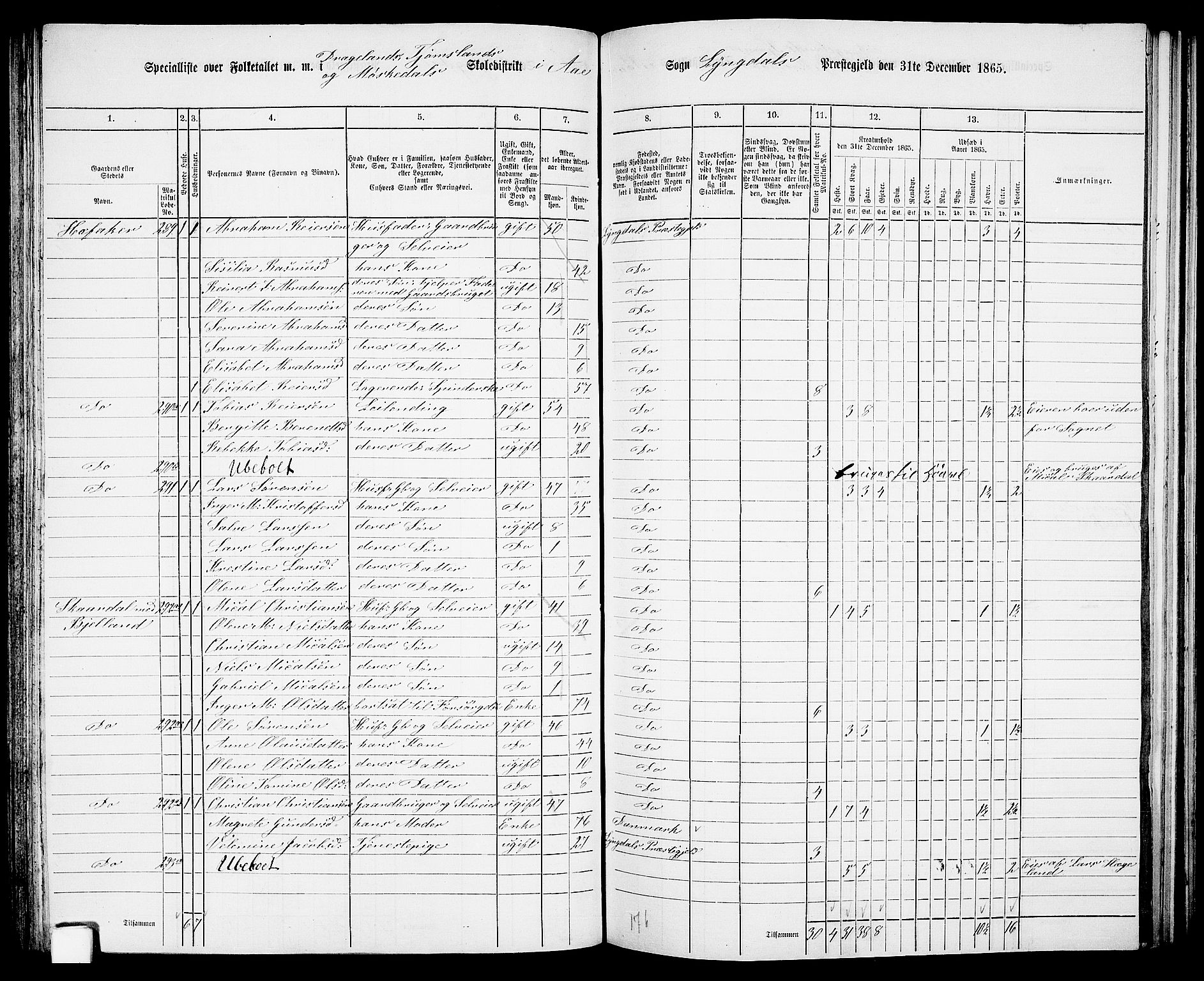 RA, 1865 census for Lyngdal, 1865, p. 135