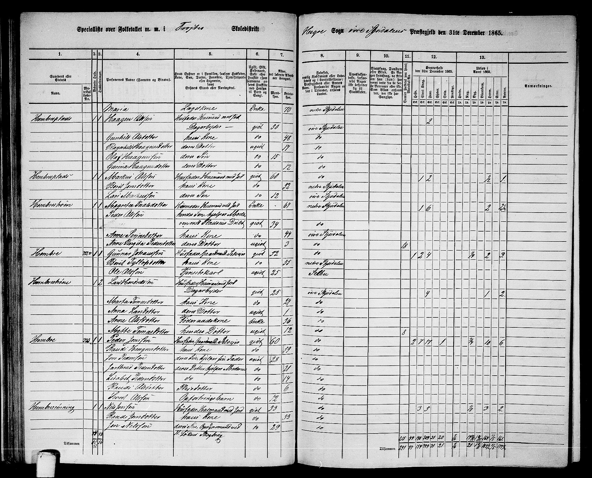 RA, 1865 census for Øvre Stjørdal, 1865, p. 52