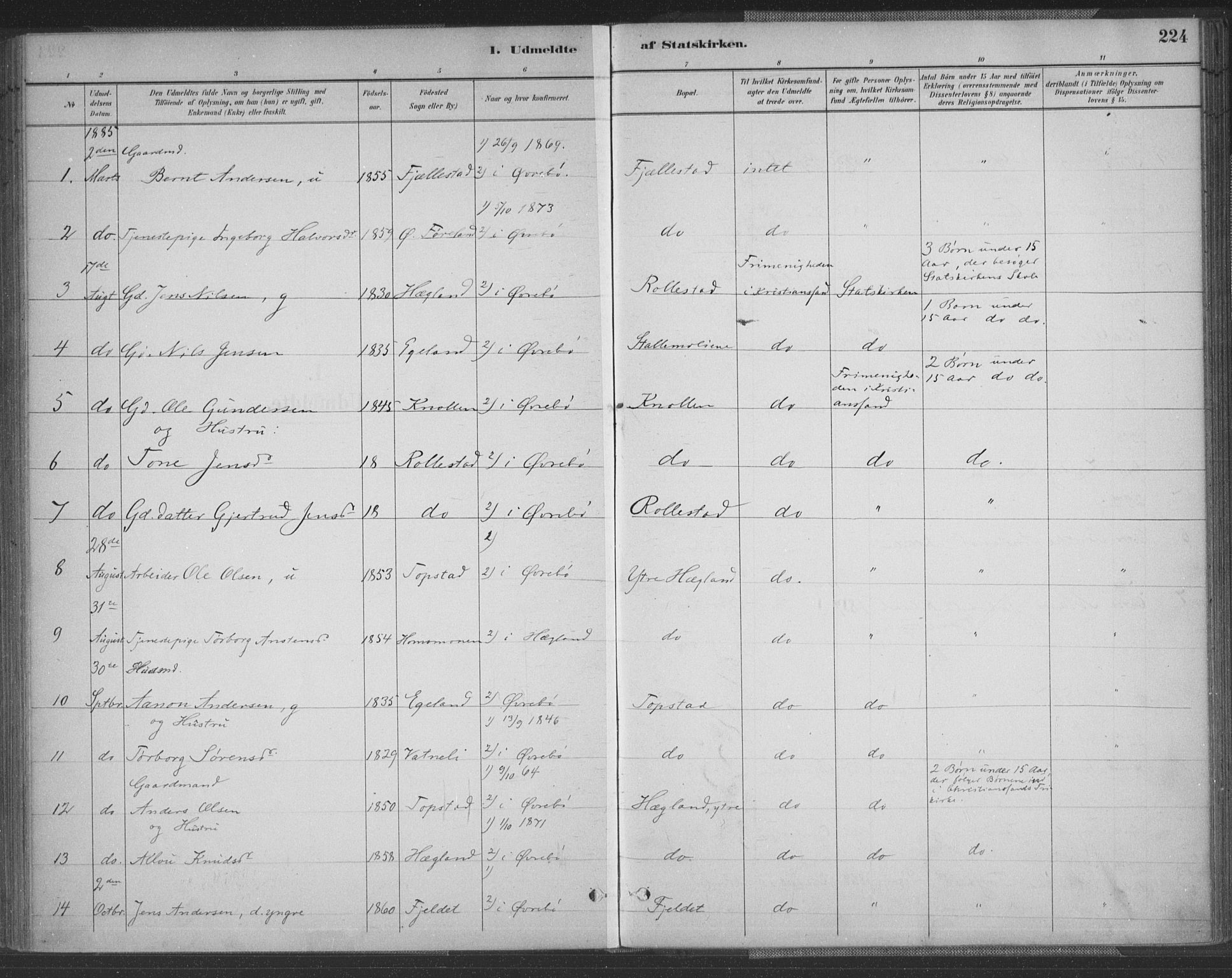Vennesla sokneprestkontor, SAK/1111-0045/Fa/Fac/L0009: Parish register (official) no. A 9, 1884-1901, p. 224