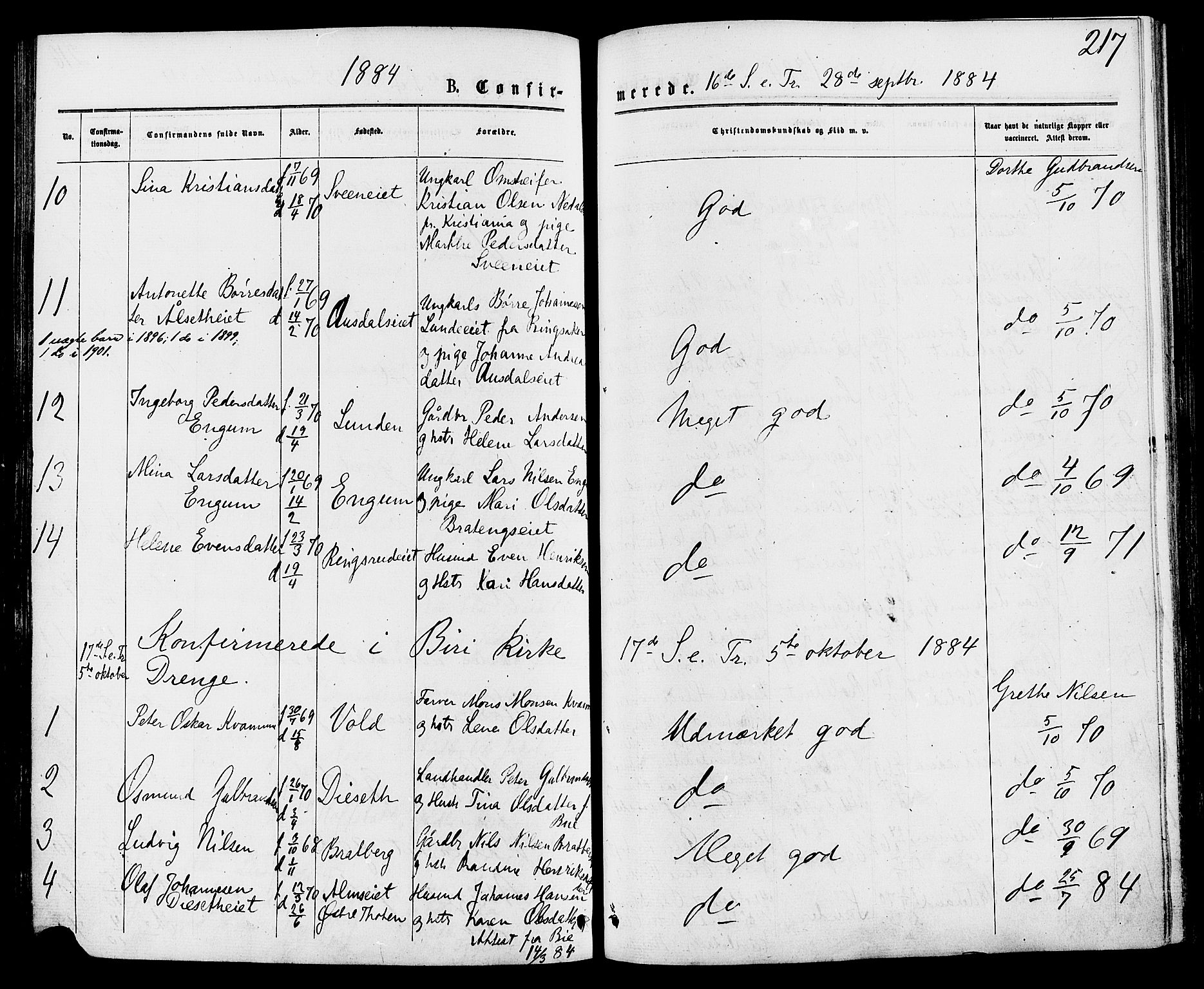 Biri prestekontor, AV/SAH-PREST-096/H/Ha/Haa/L0006: Parish register (official) no. 6, 1877-1886, p. 217